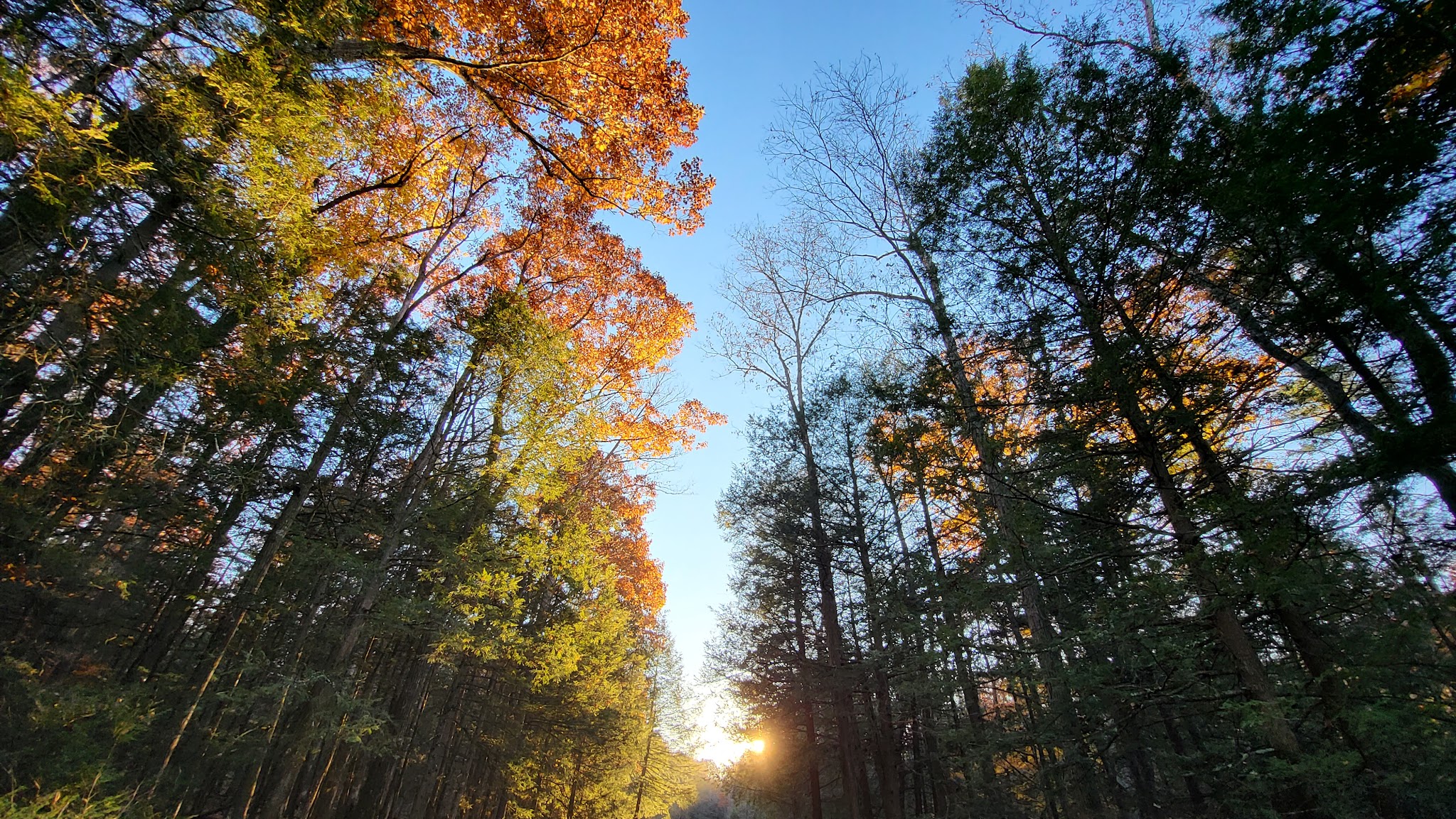 Reeds Gap State Park