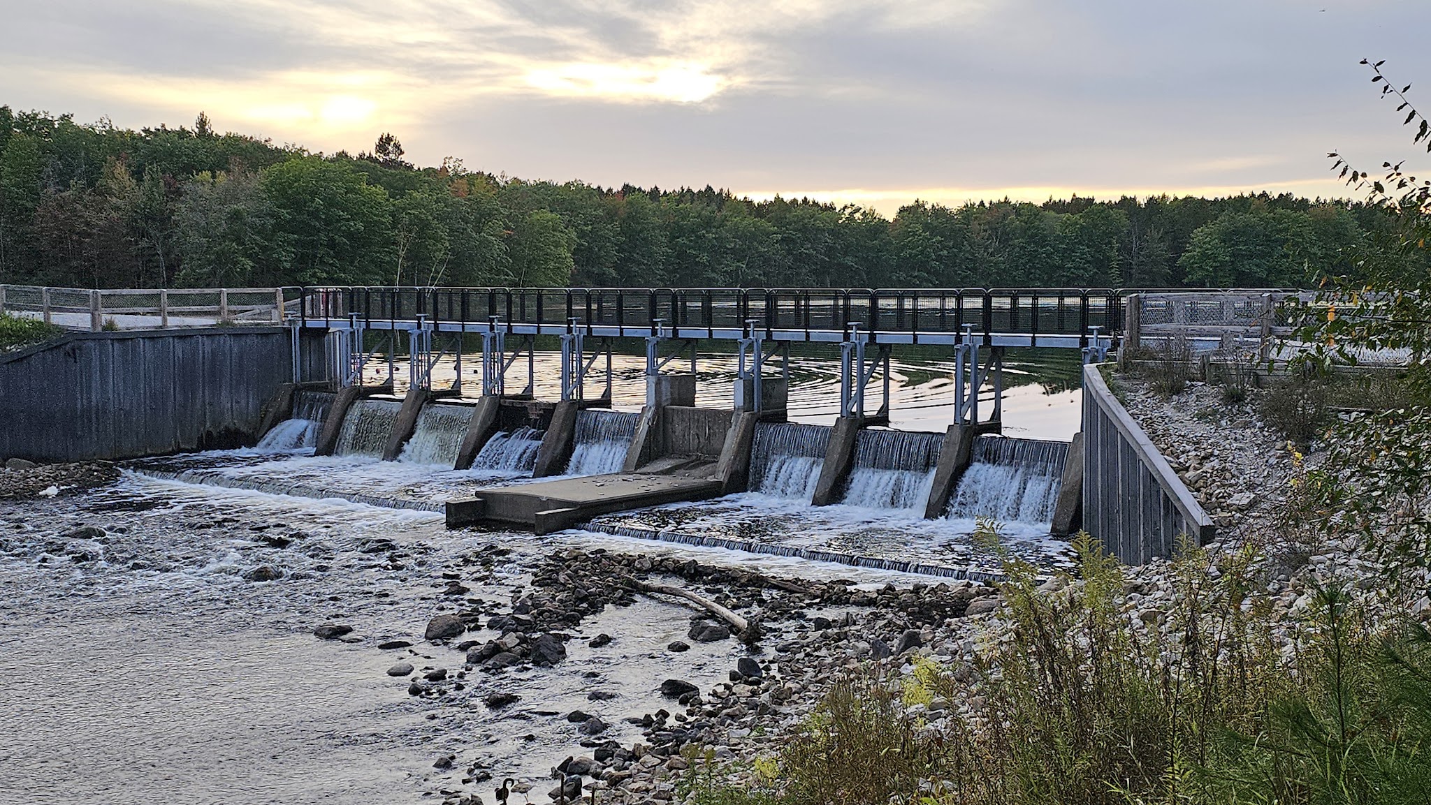 Reedsburg Dam State Forest Campground