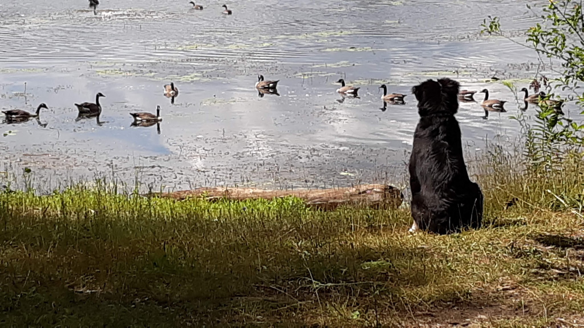 Reedsburg Dam State Forest Campground