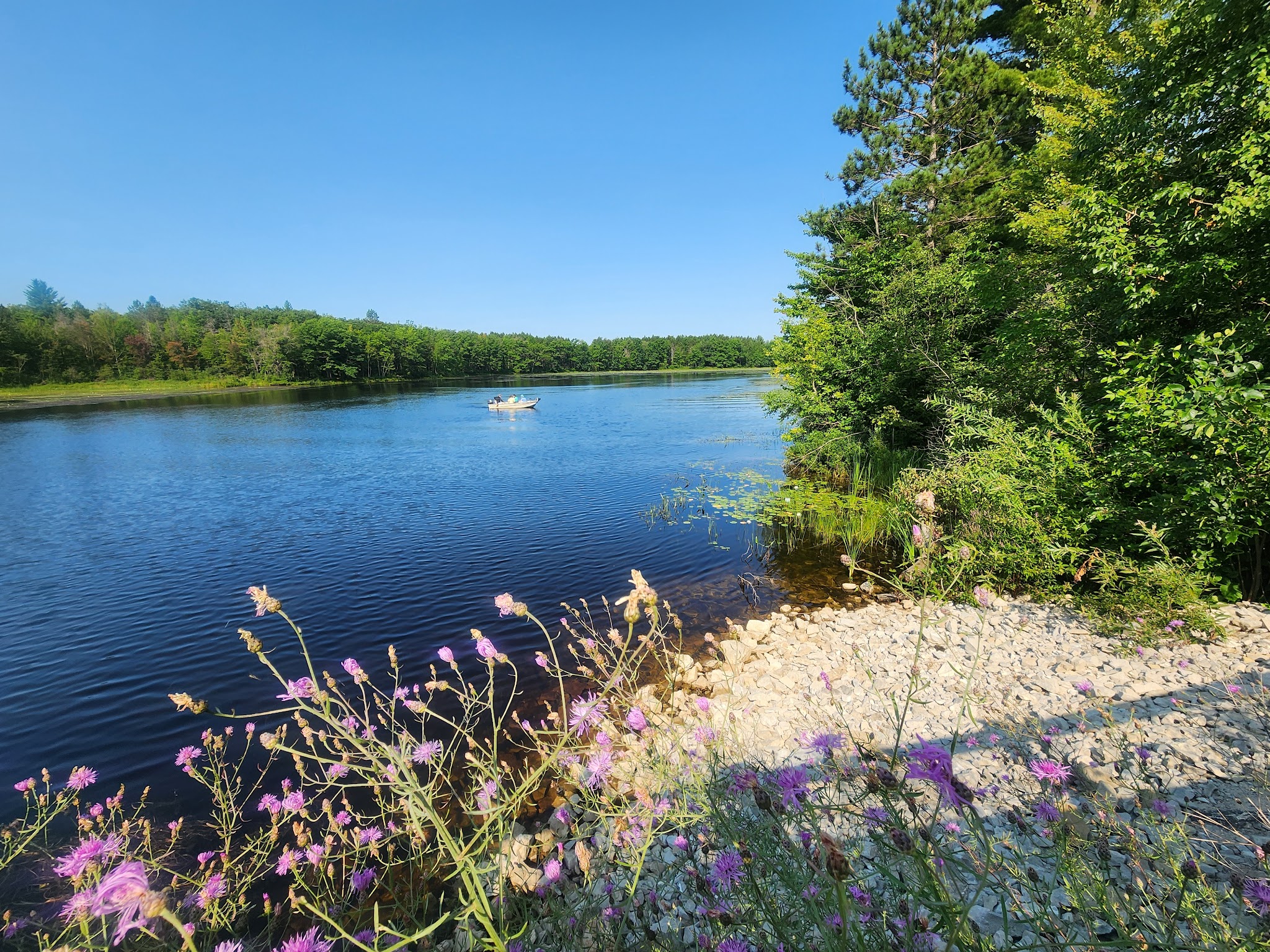 Reedsburg Dam State Forest Campground