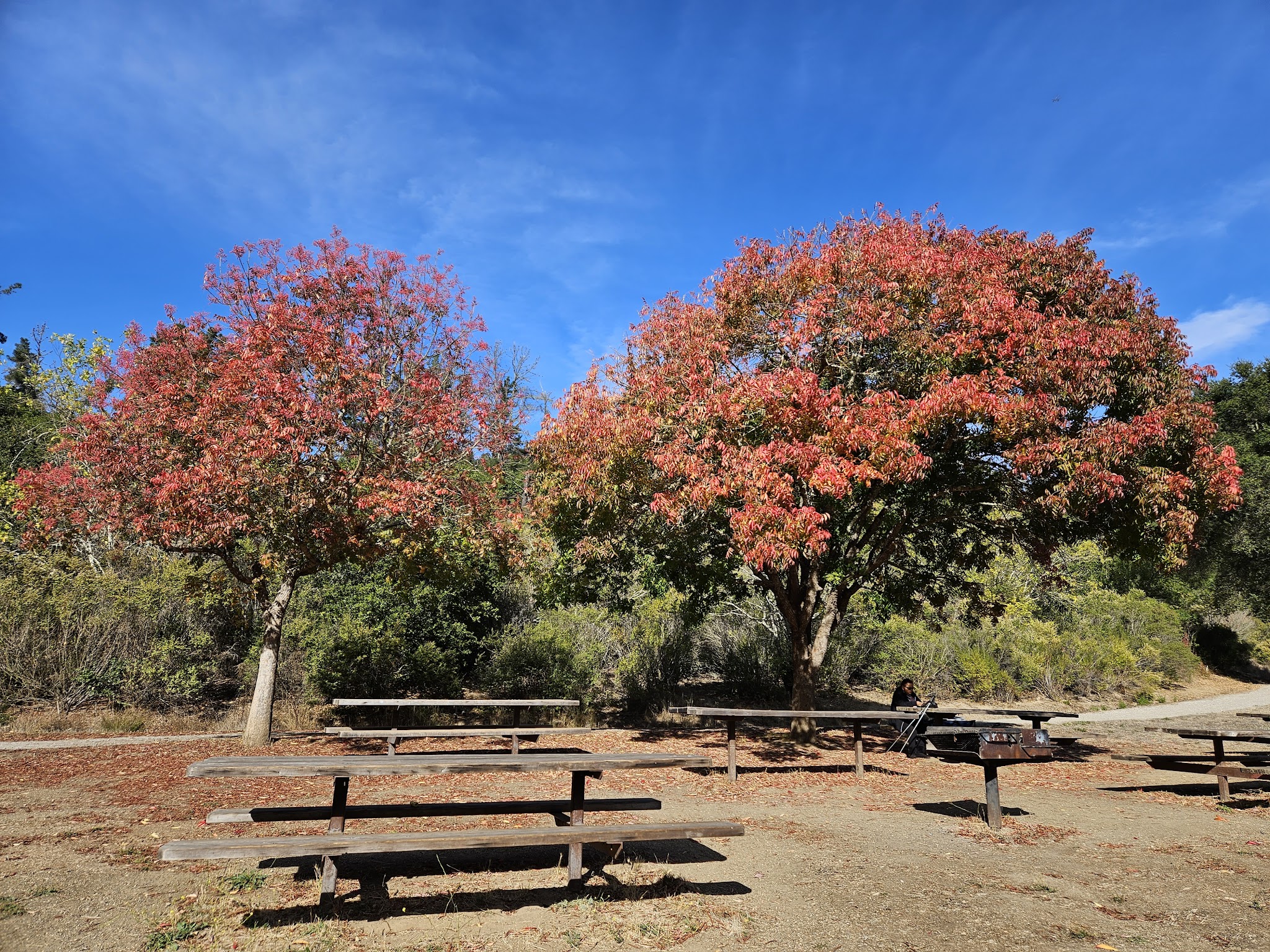 Reinhardt Redwood Regional Park