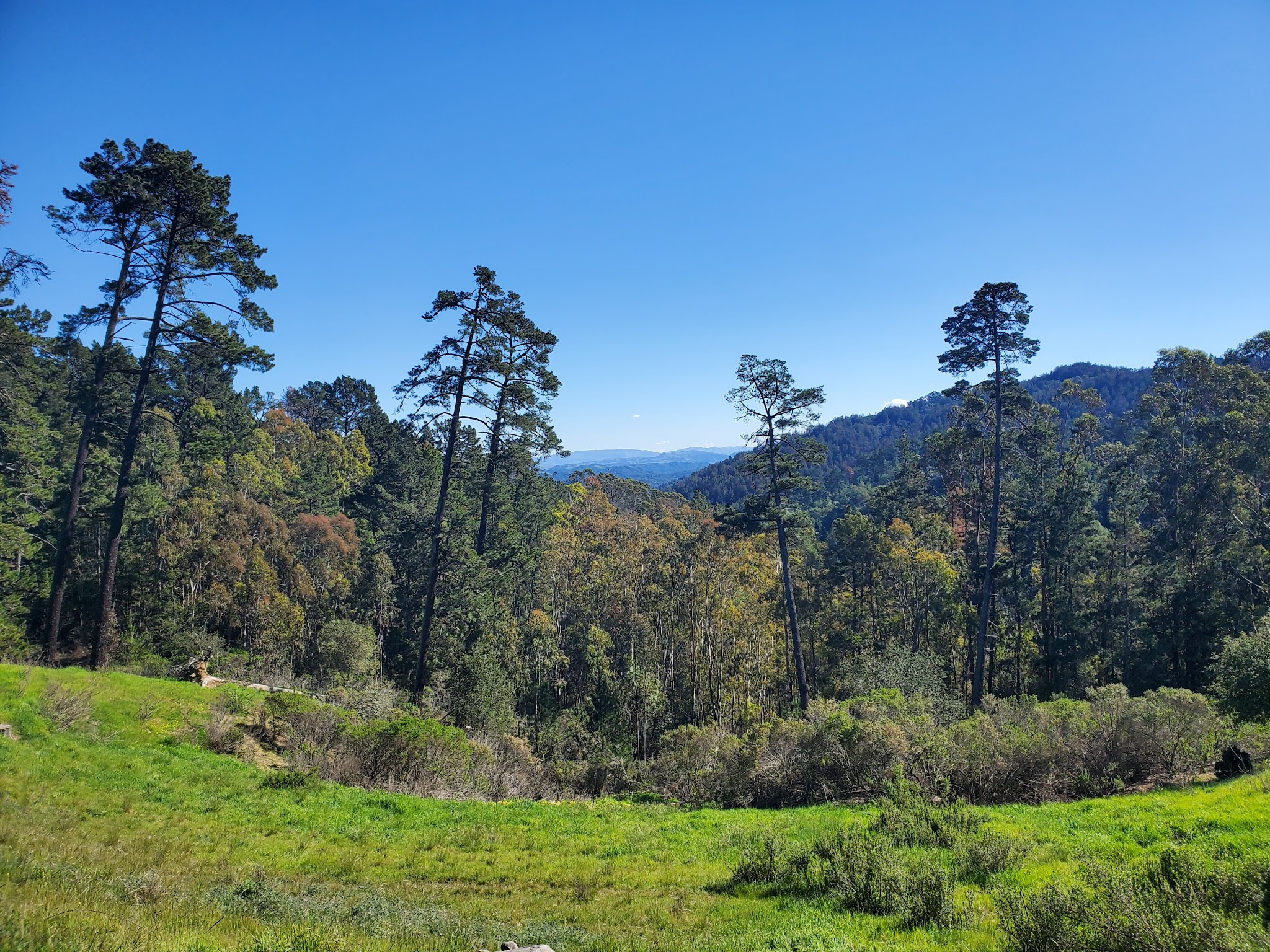 Reinhardt Redwood Regional Park