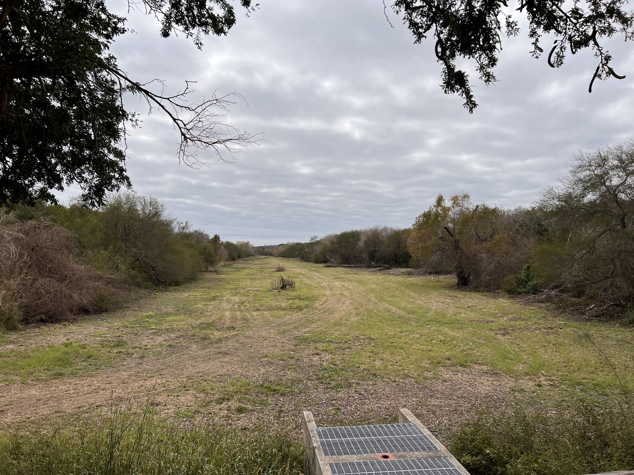 Resaca De La Palma State Park
