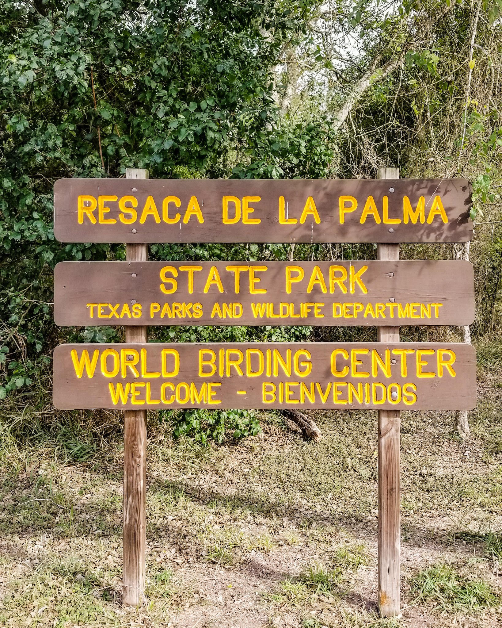 Resaca De La Palma State Park