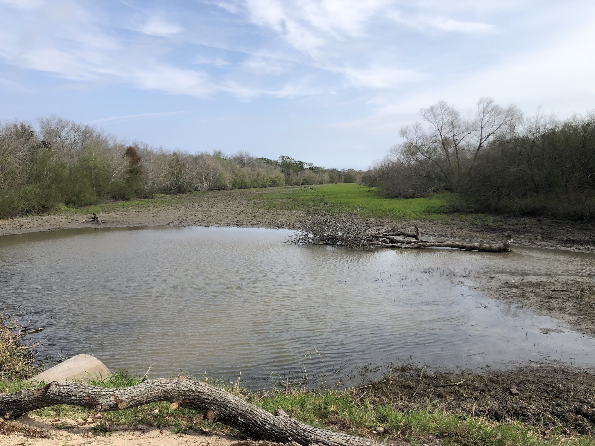 Resaca De La Palma State Park