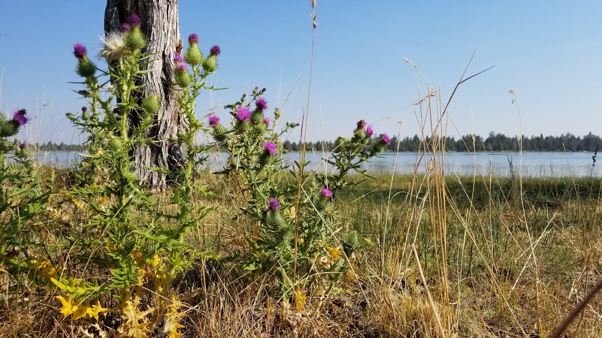 Reservoir C Campground