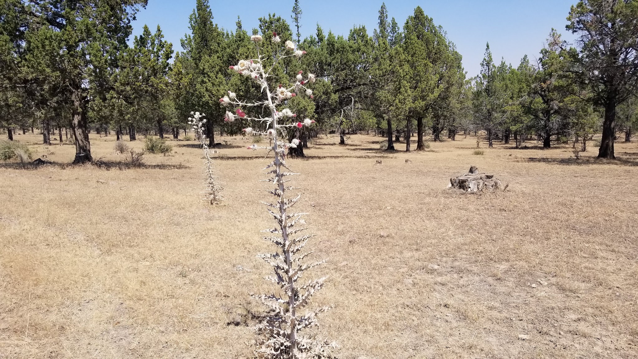 Reservoir C Campground