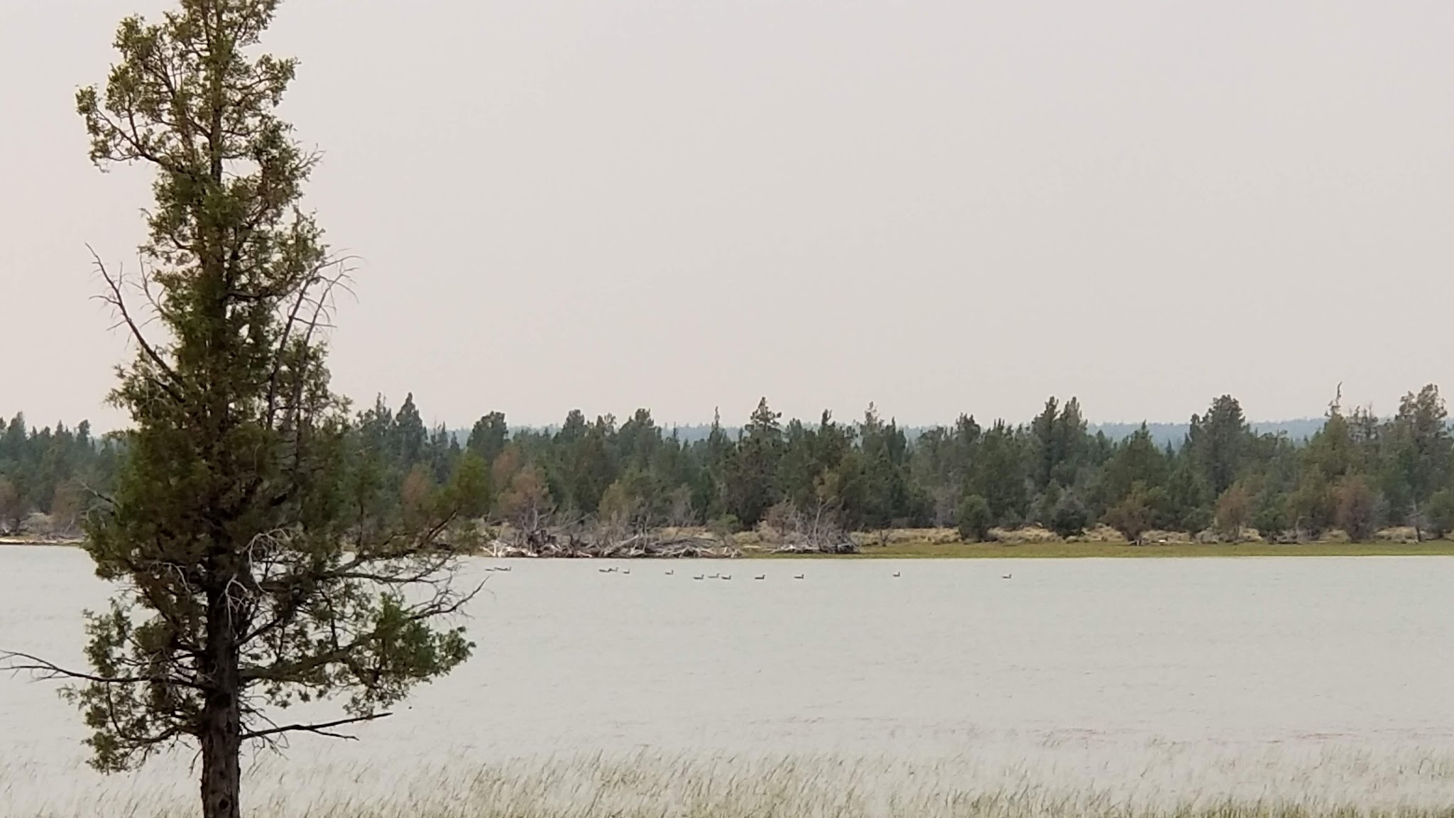 Reservoir C Campground