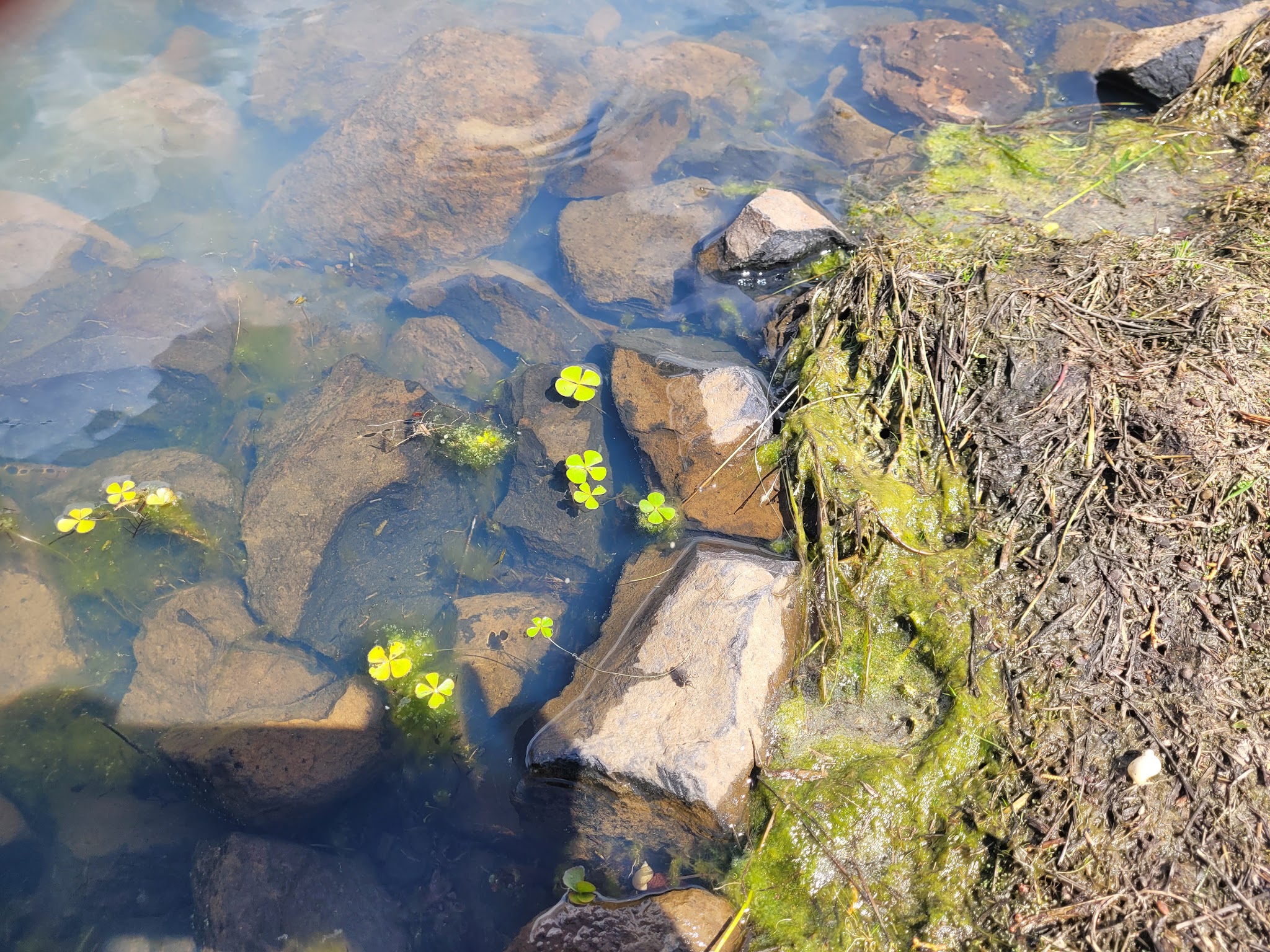 Reservoir C Campground