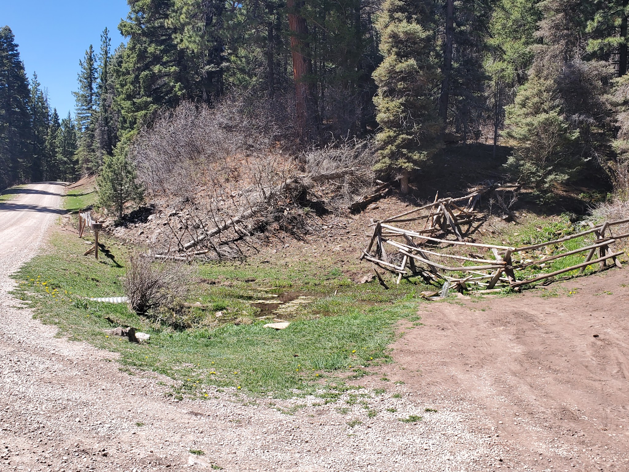 Resumidero Camping Area