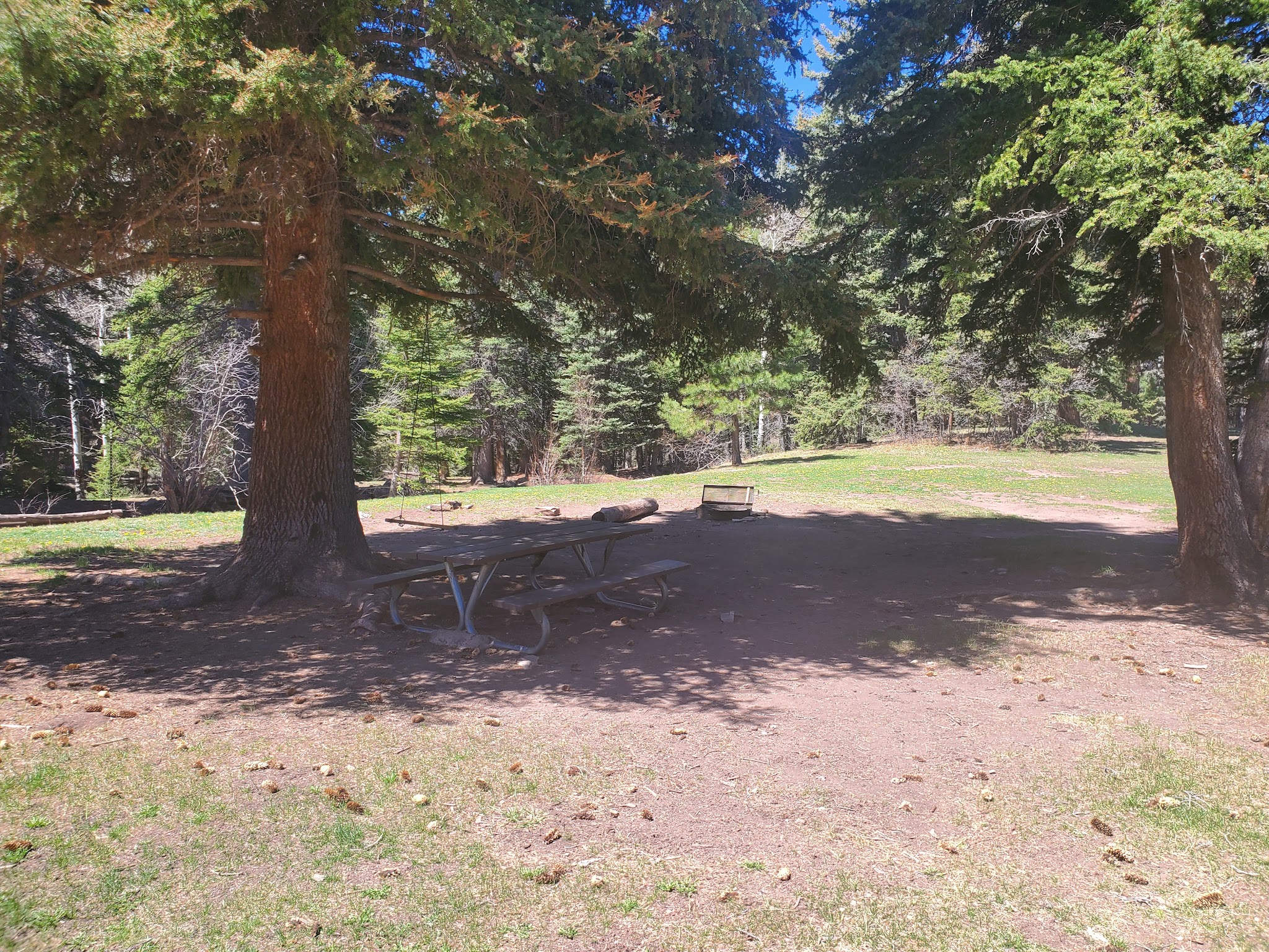 Resumidero Camping Area