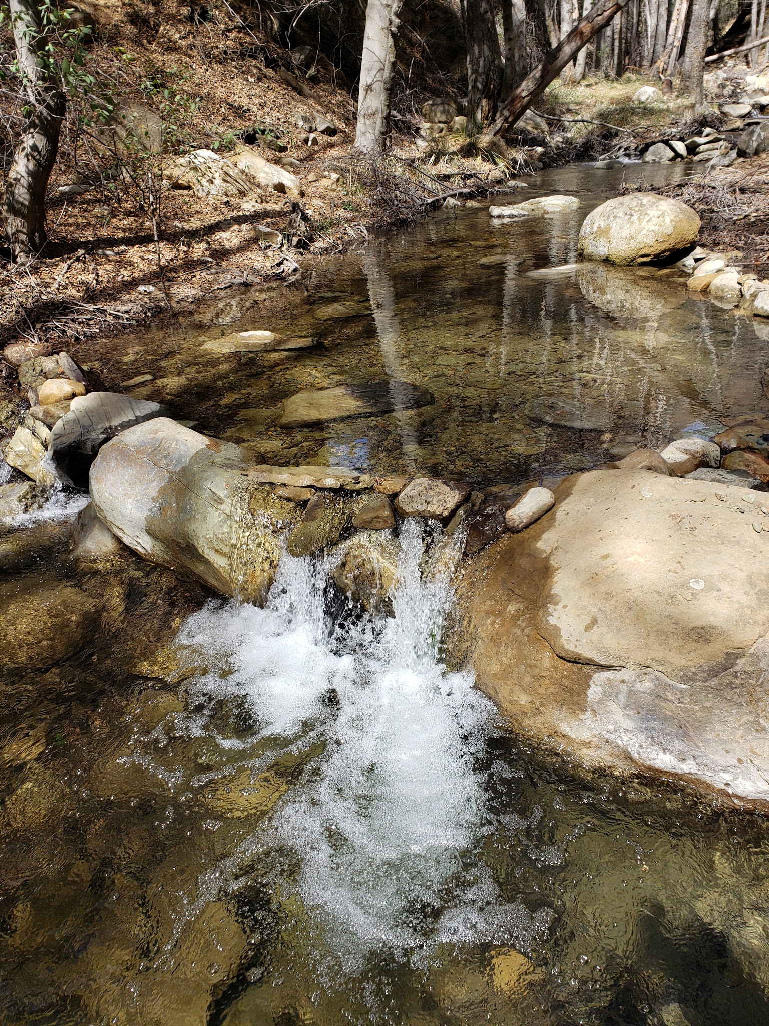 Reyes Creek Campground