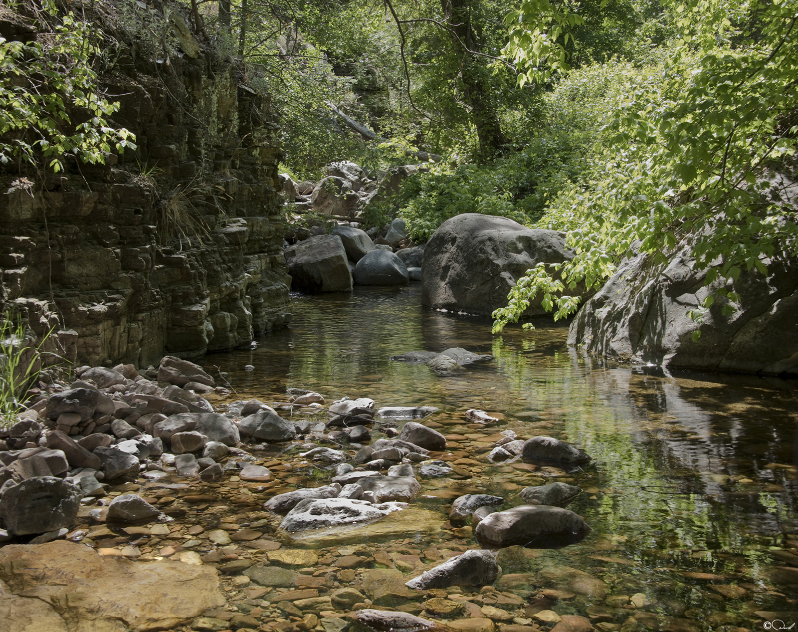 Reynolds Creek Group Camp (Id) 