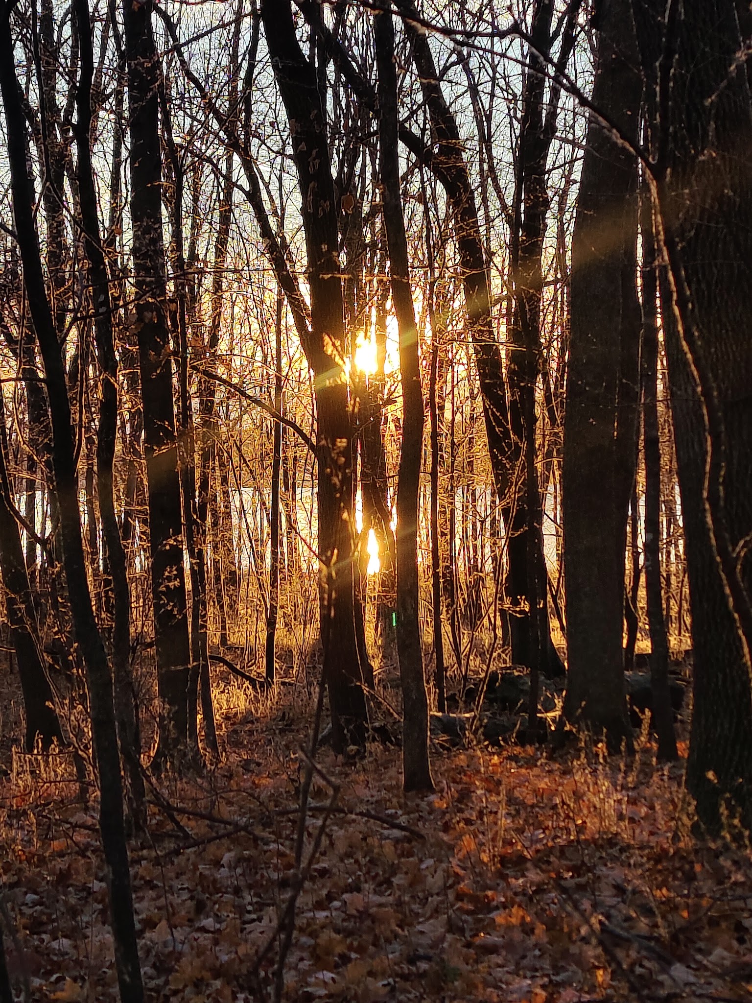 Rice Lake State Park