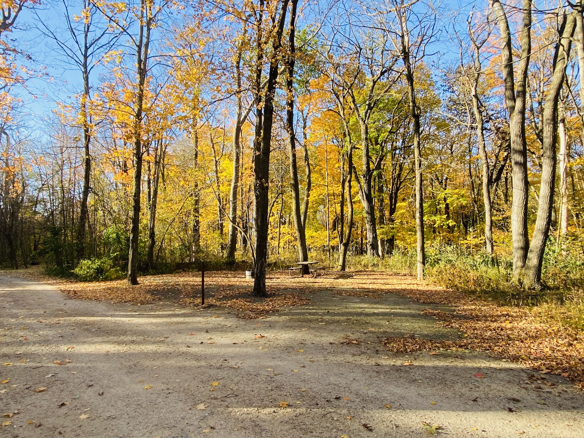 Rice Lake State Park