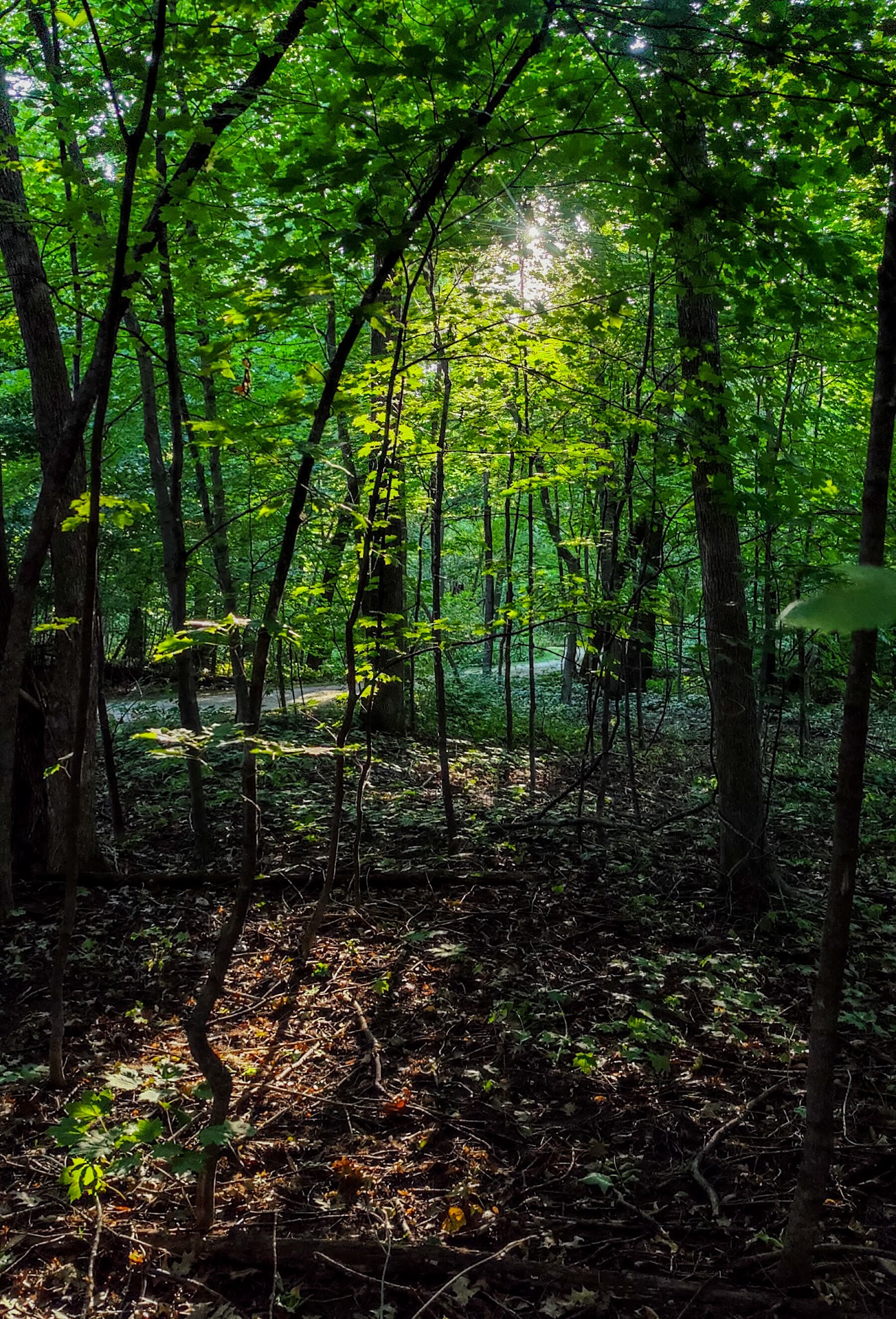 Rice Lake State Park