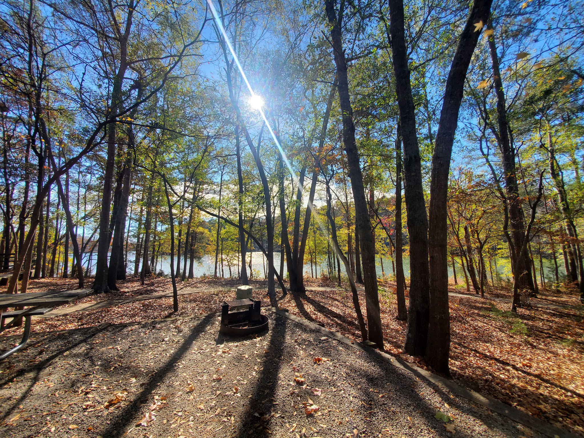 Richard B Russell State Park