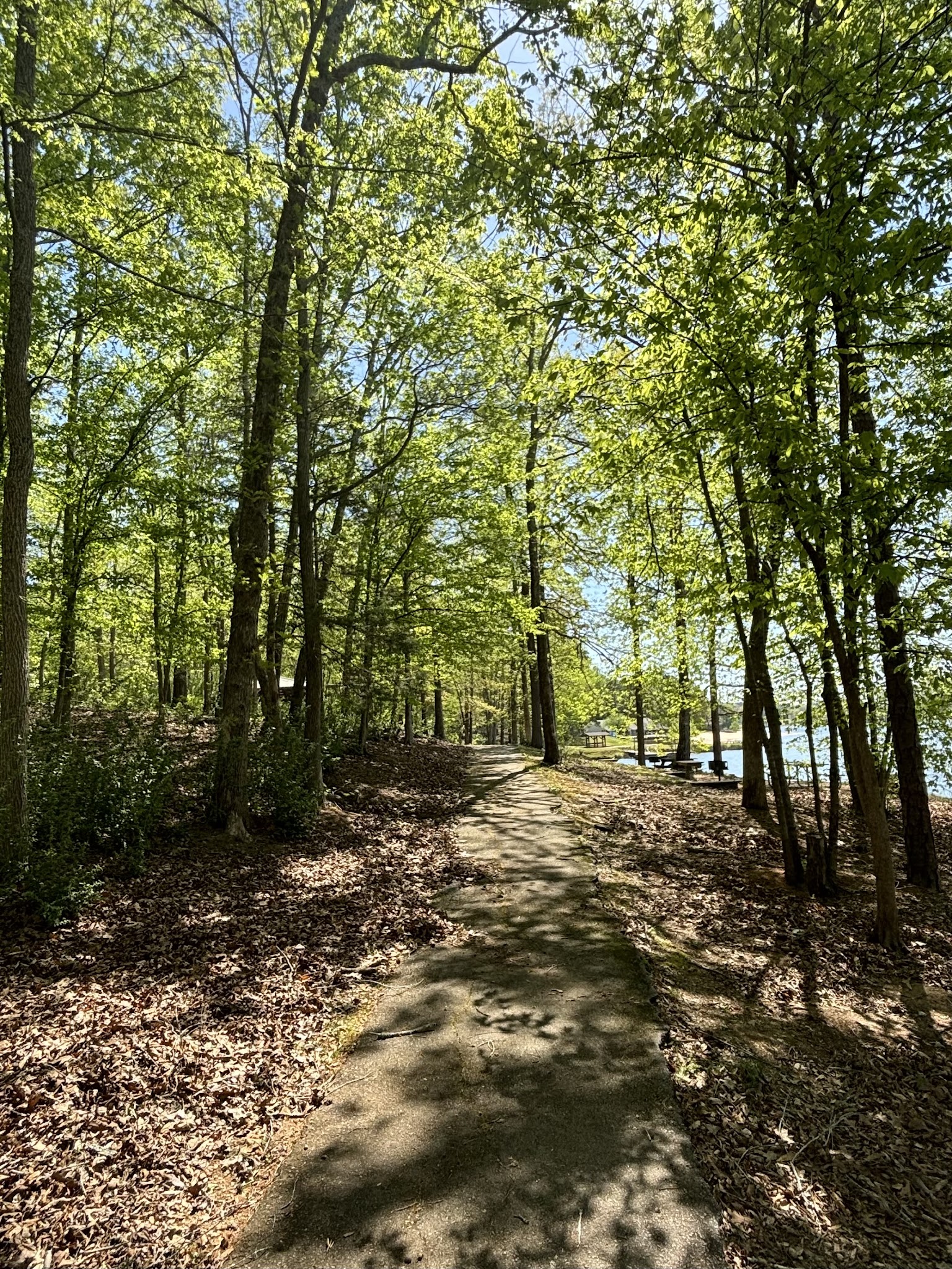 Richard B Russell State Park