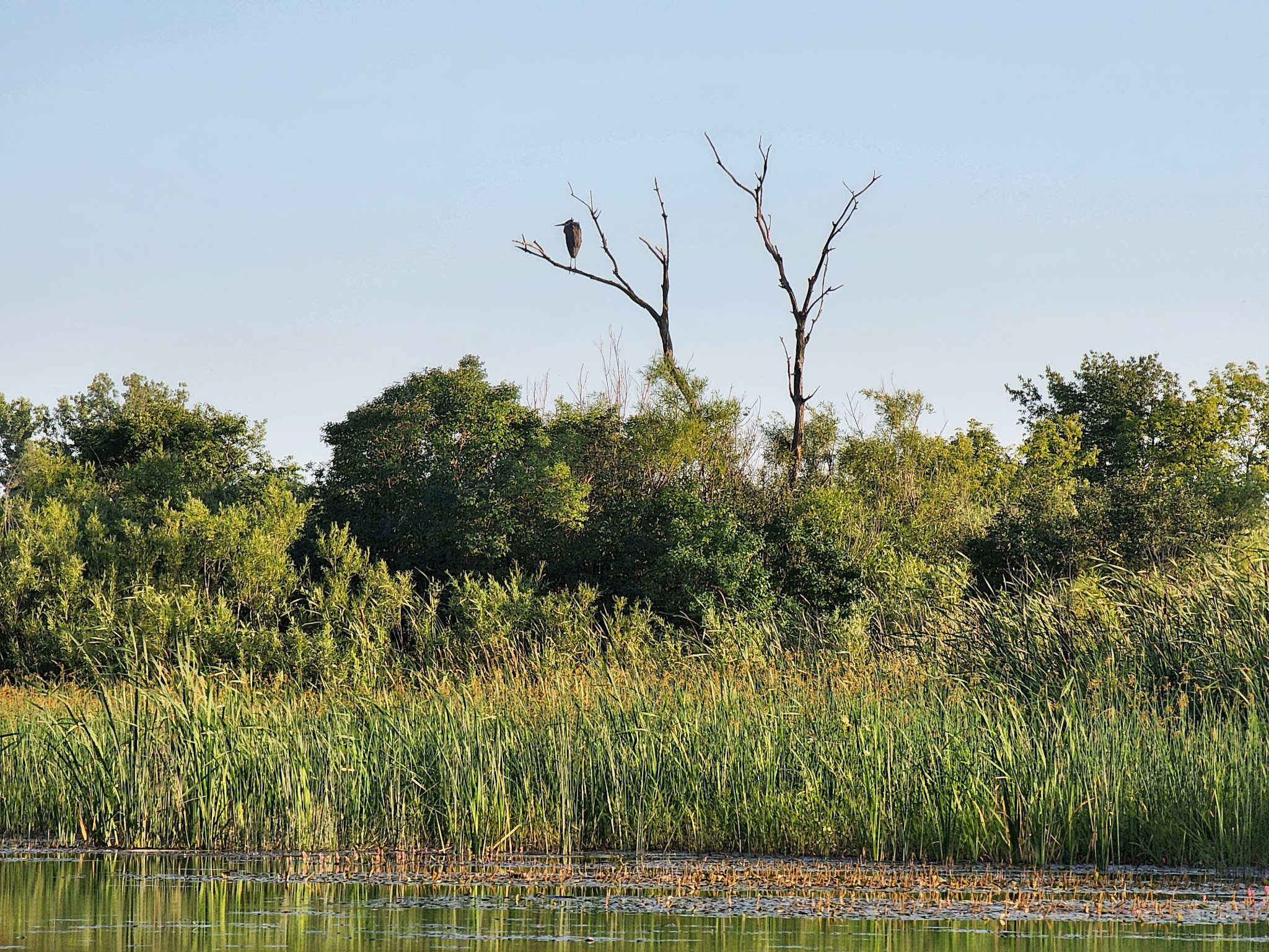 Richard Bong State Recreation Area