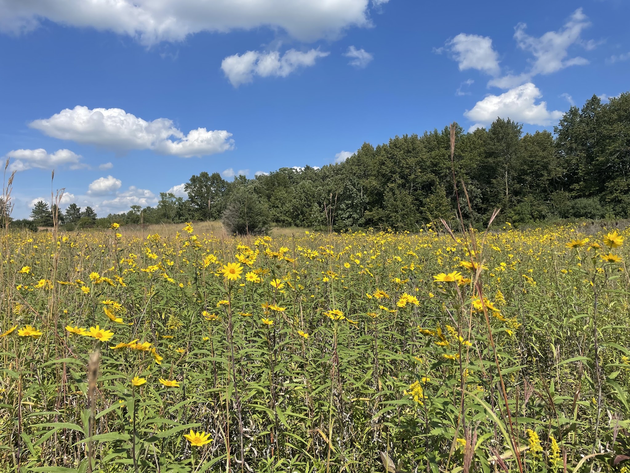 Richard Bong State Recreation Area