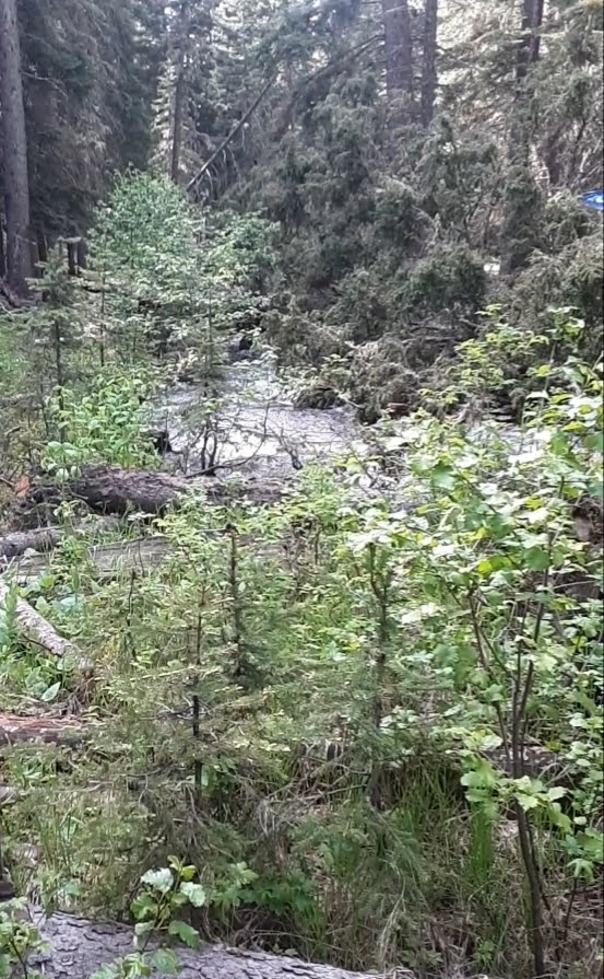 Richardson Campground