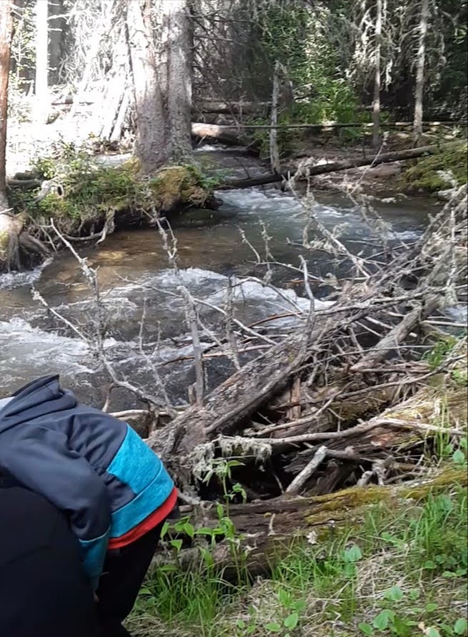 Richardson Campground