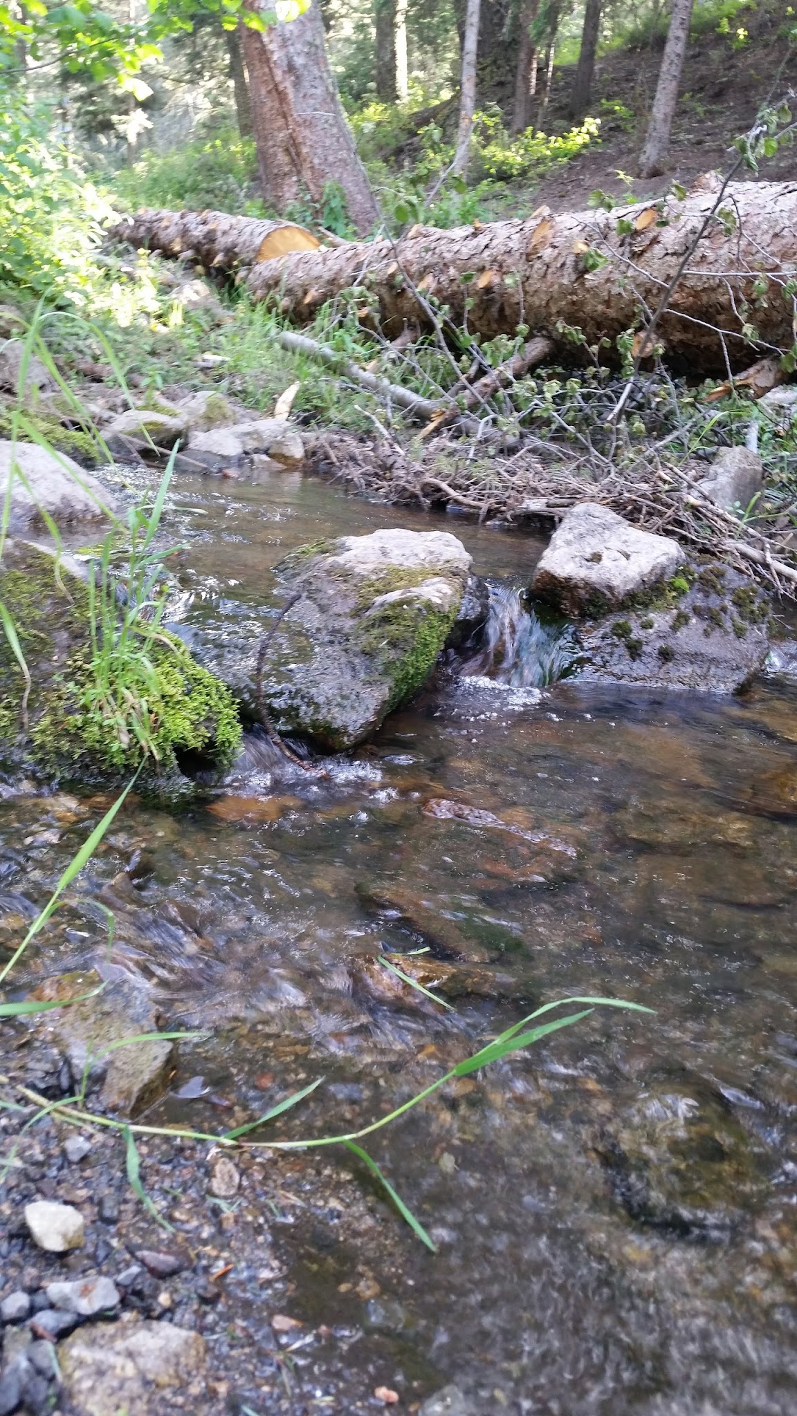 Richardson Campground