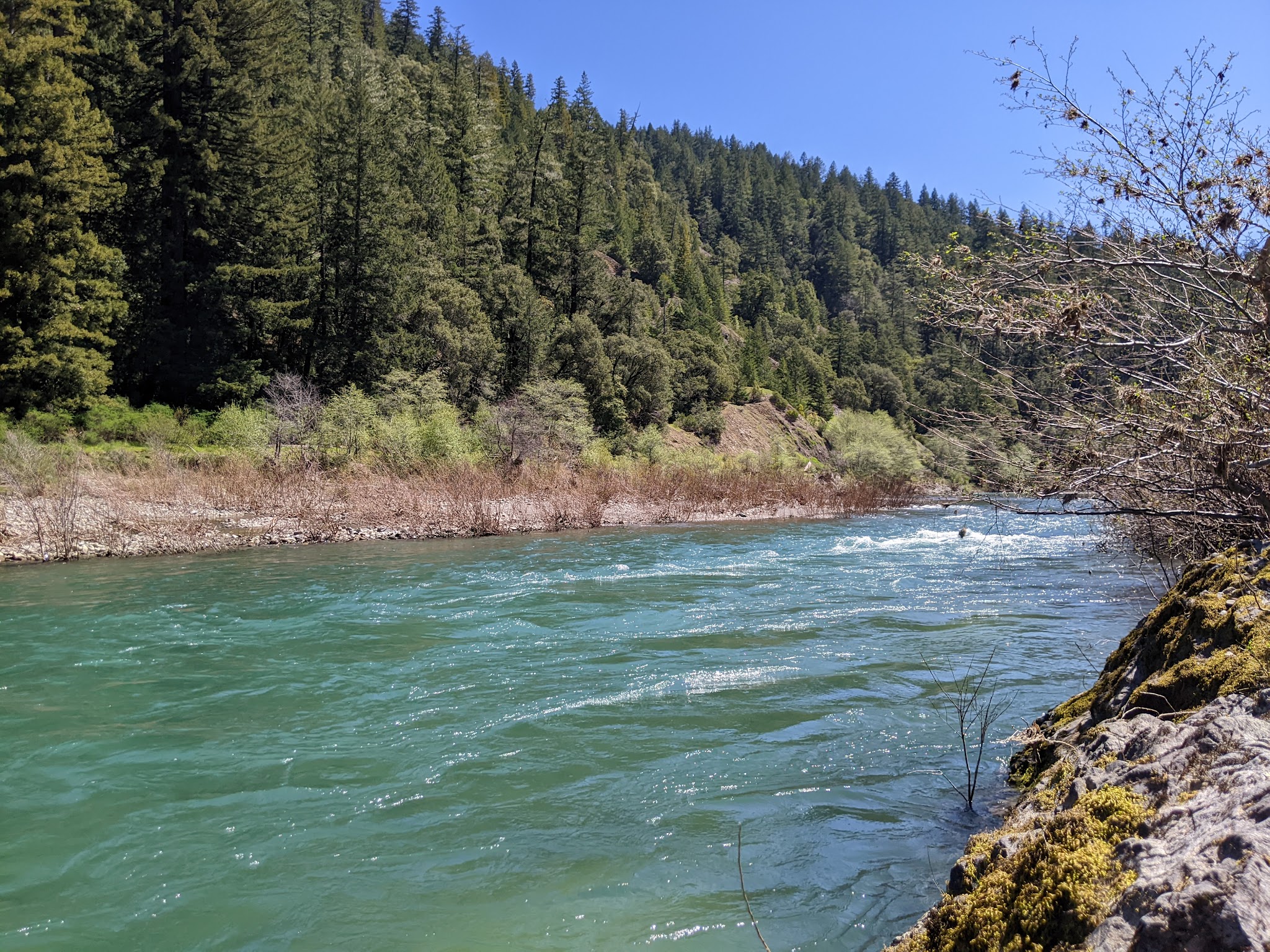 Dawn Redwood Group Campground