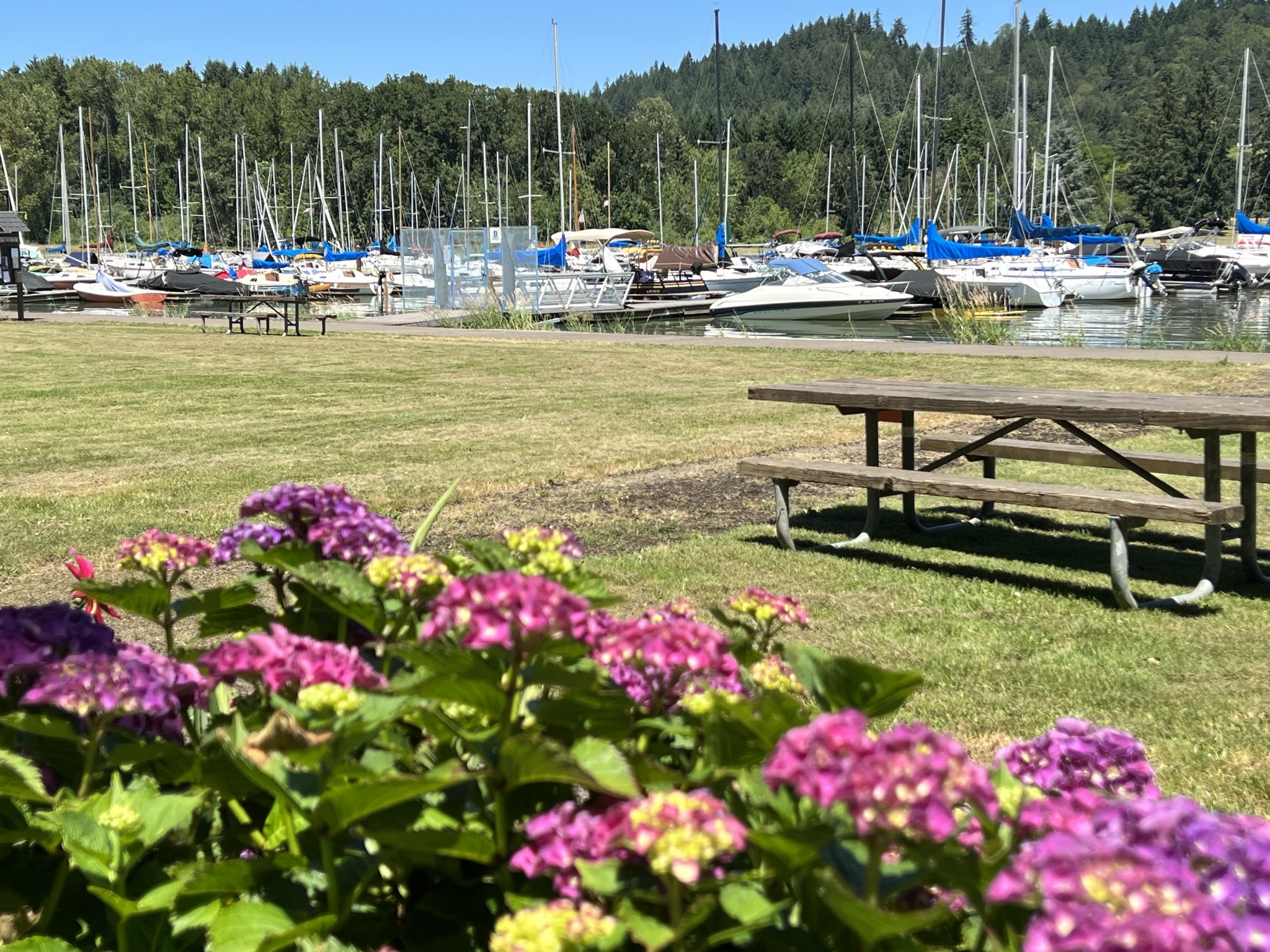 Richardson Campground