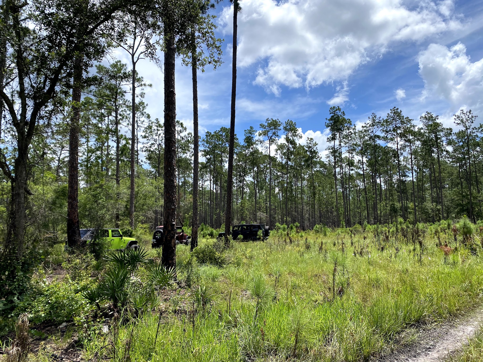 Richloam Tract Primitive Camp Zone East