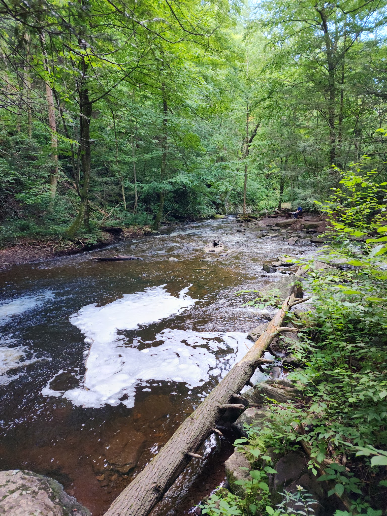 Ricketts Glen State Park