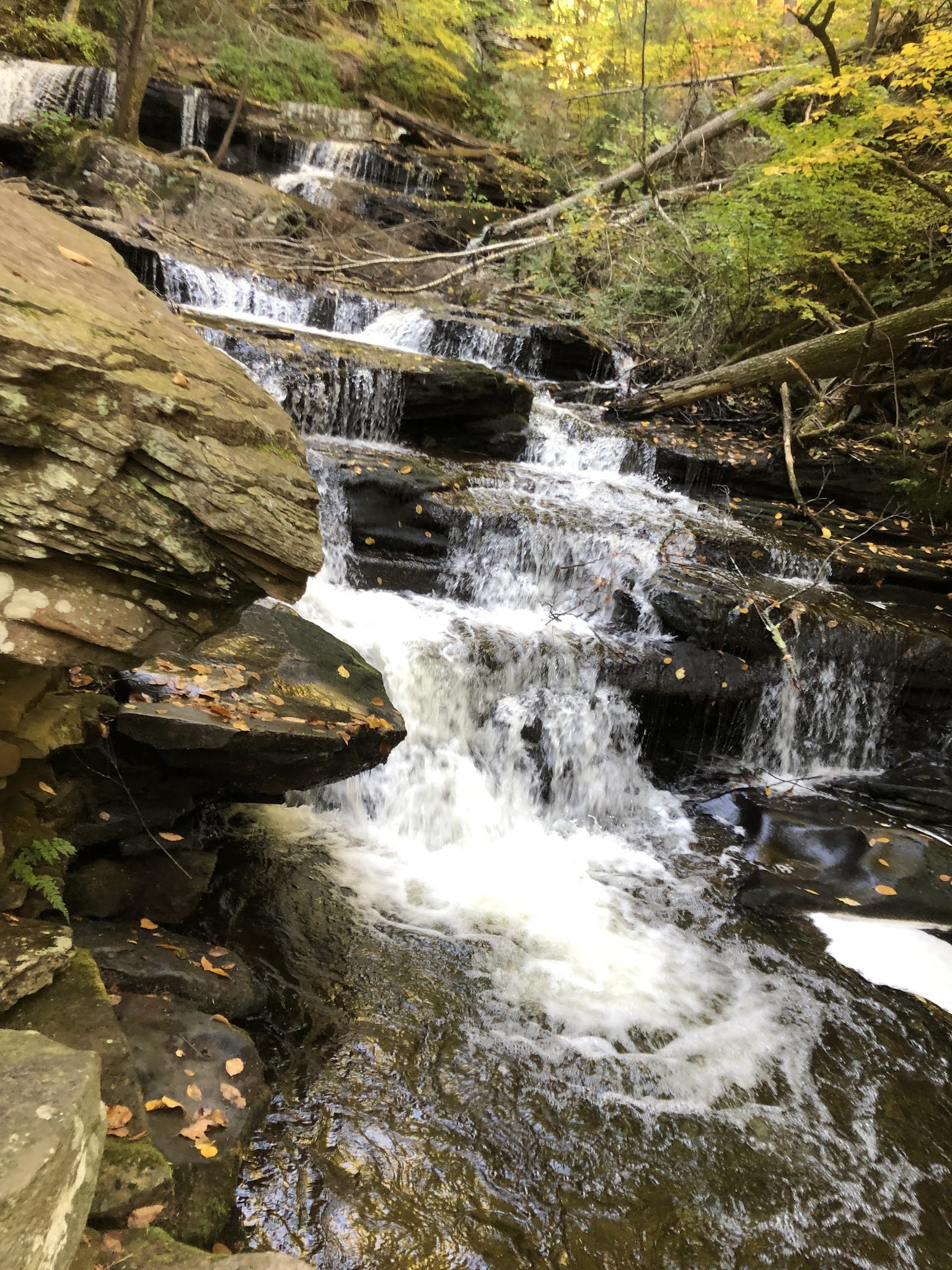 Ricketts Glen State Park