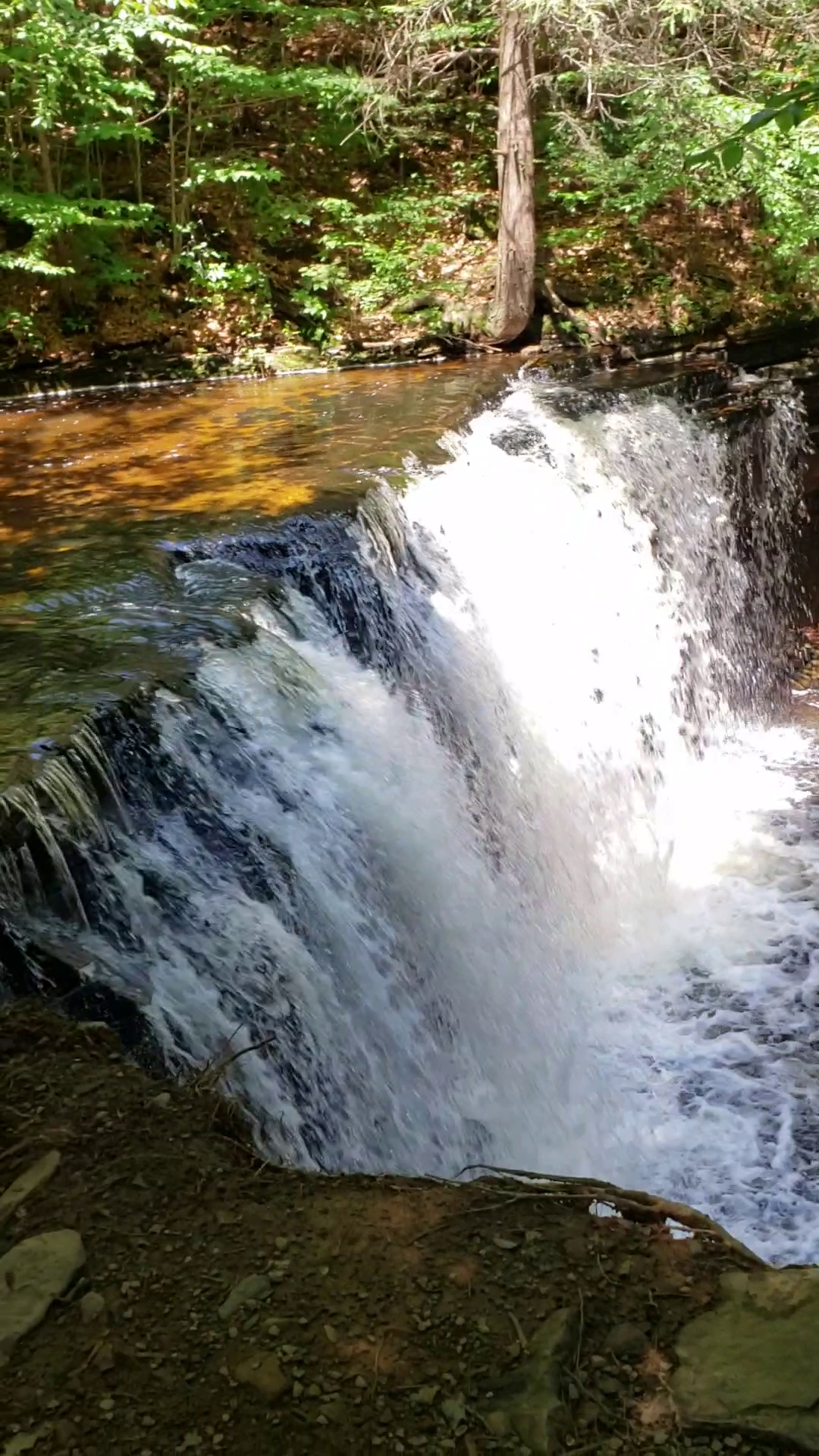 Ricketts Glen State Park