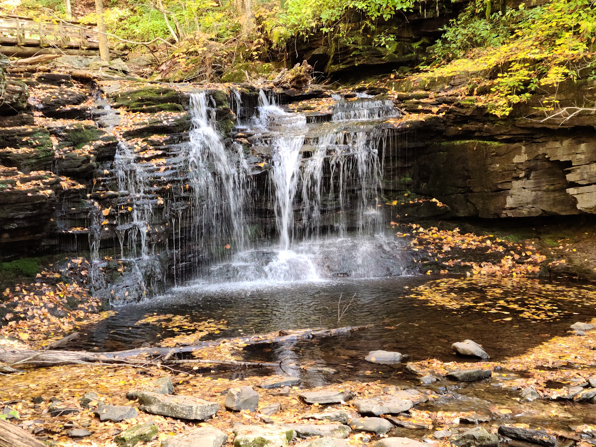 Ricketts Glen State Park