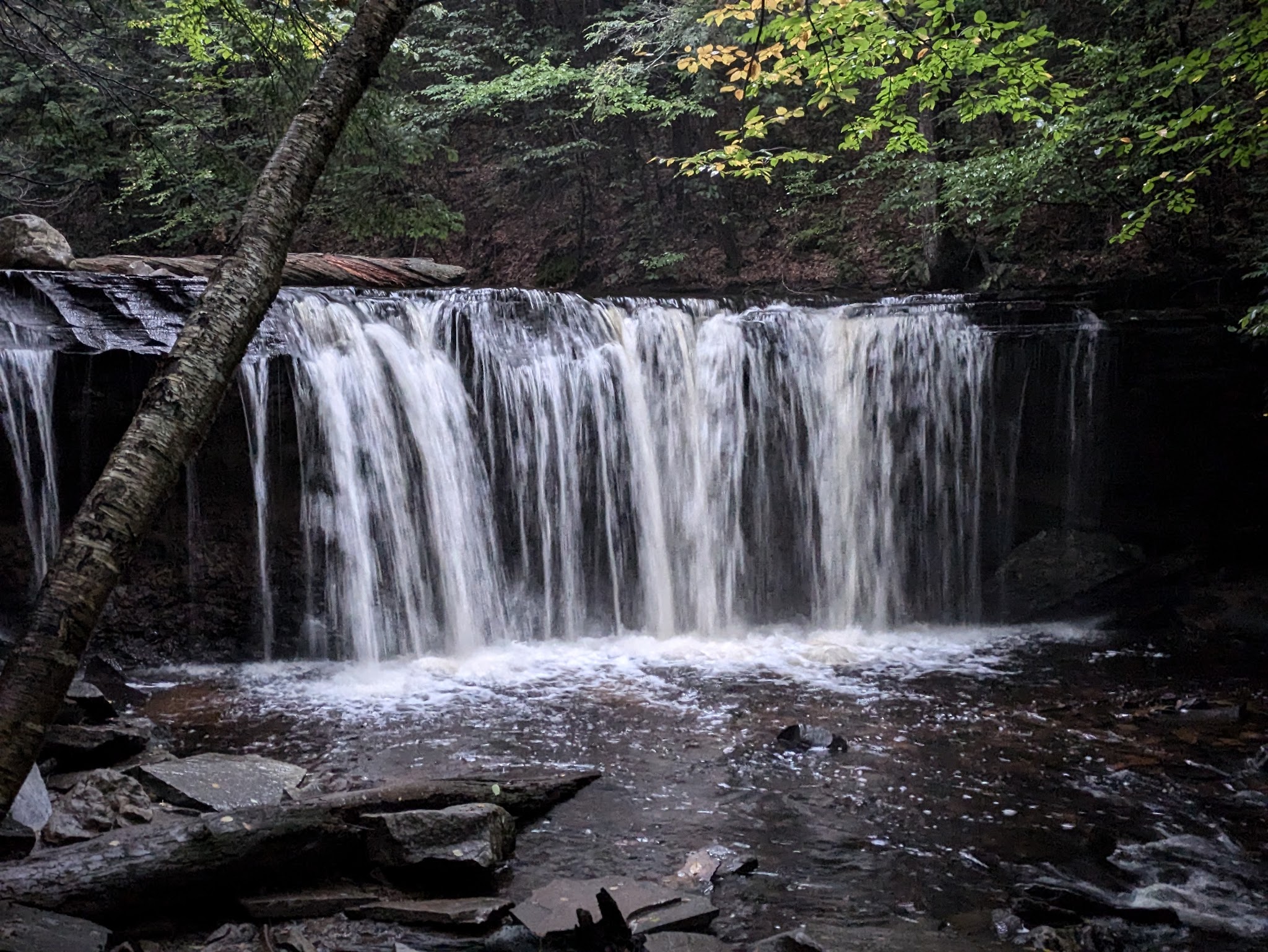 Ricketts Glen State Park