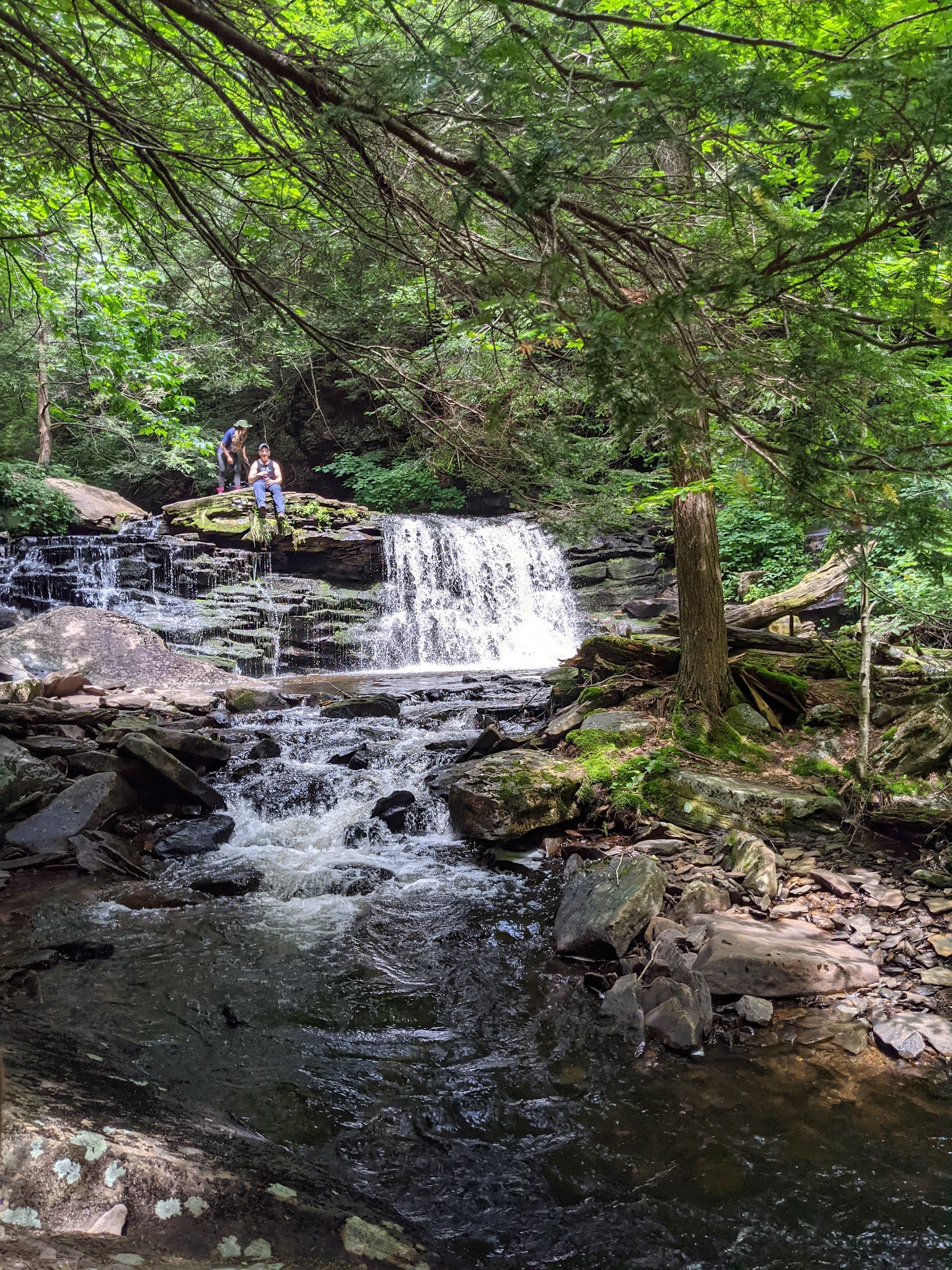 Ricketts Glen State Park