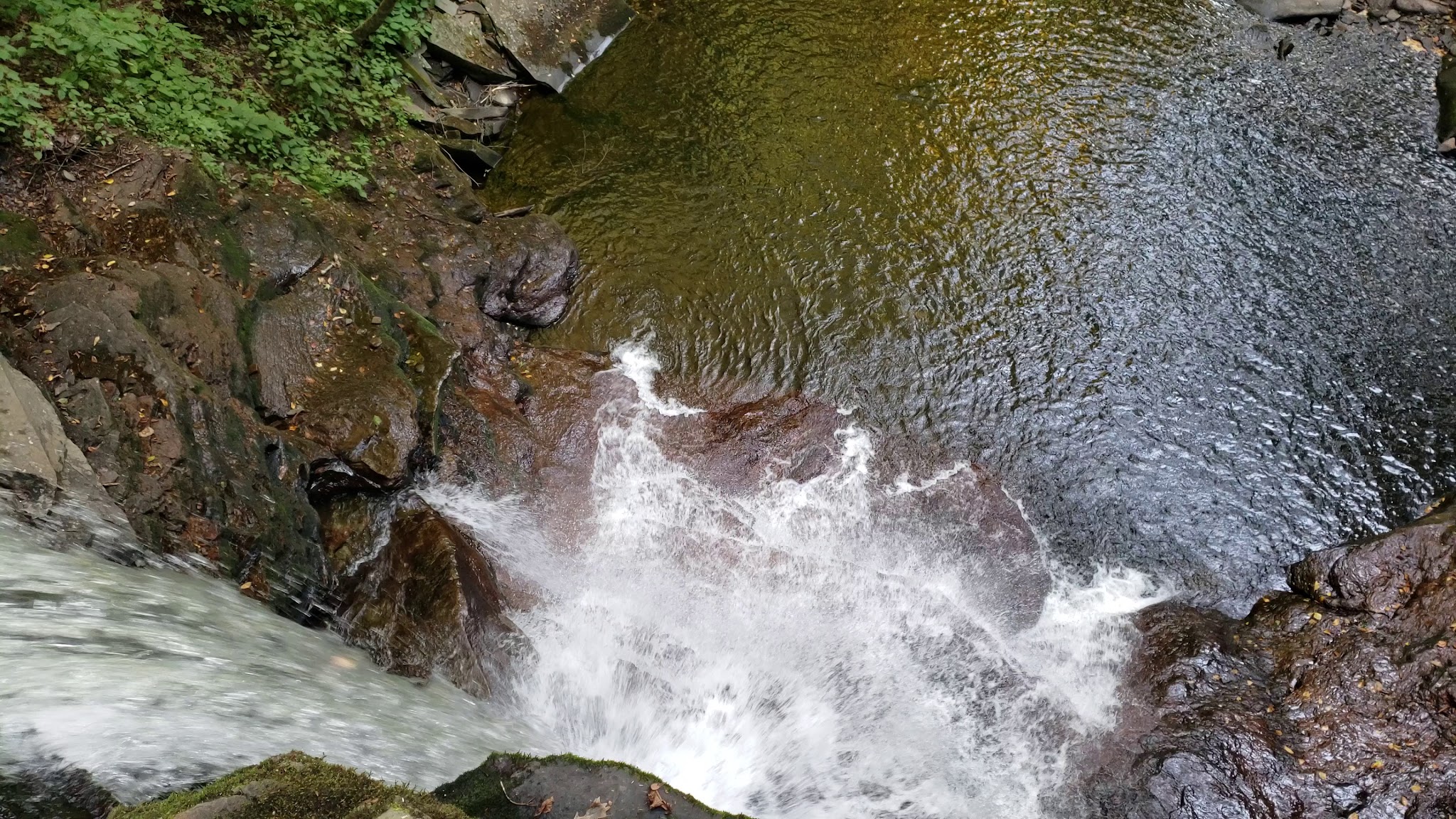 Ricketts Glen State Park