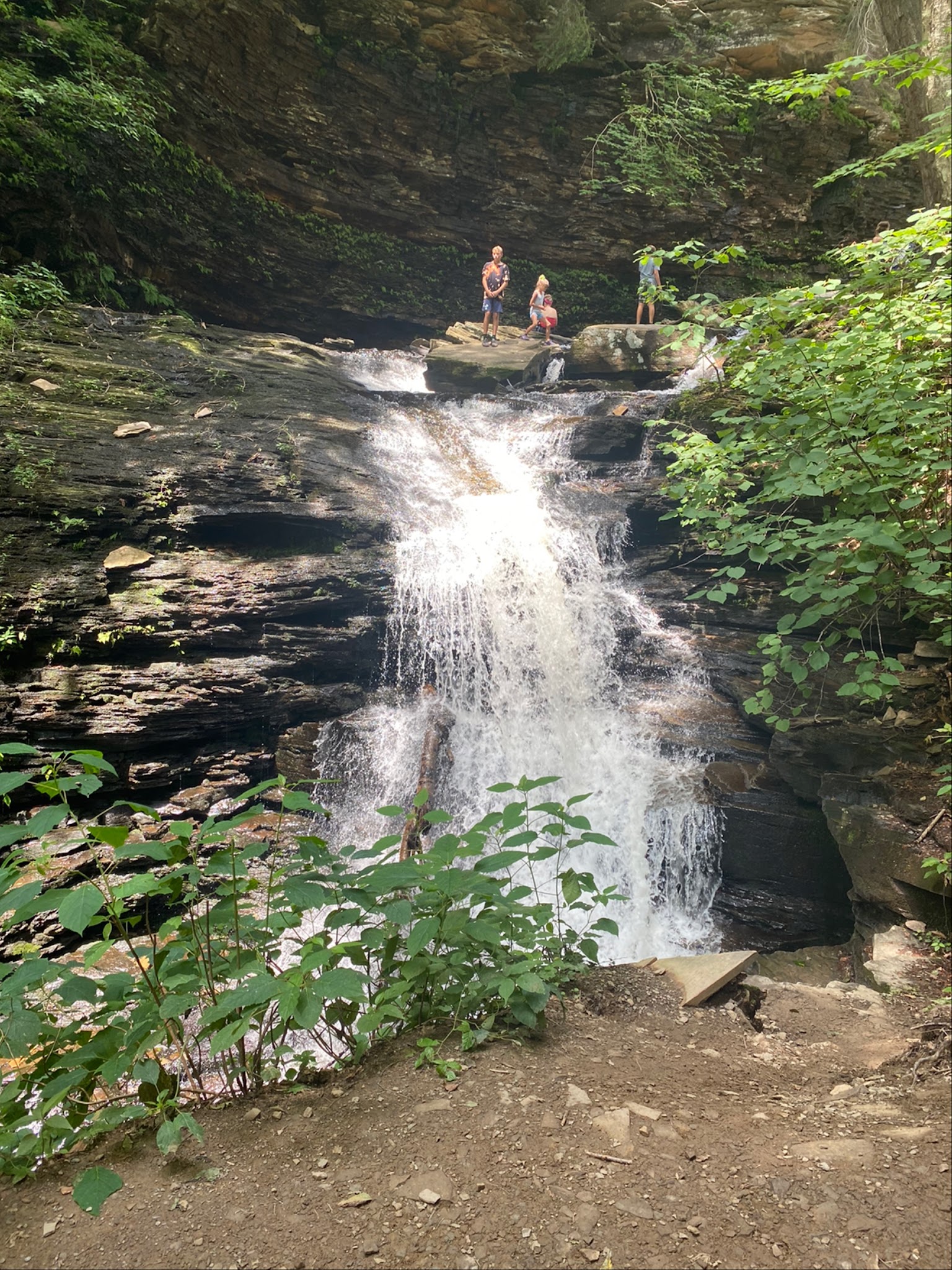 Ricketts Glen State Park
