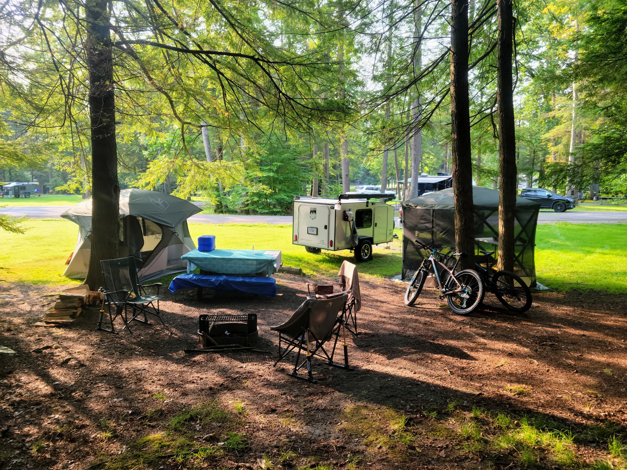 Cook Forest State Park