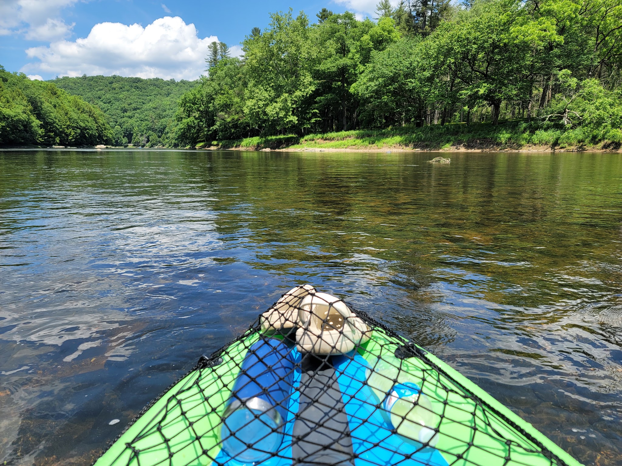 Cook Forest State Park