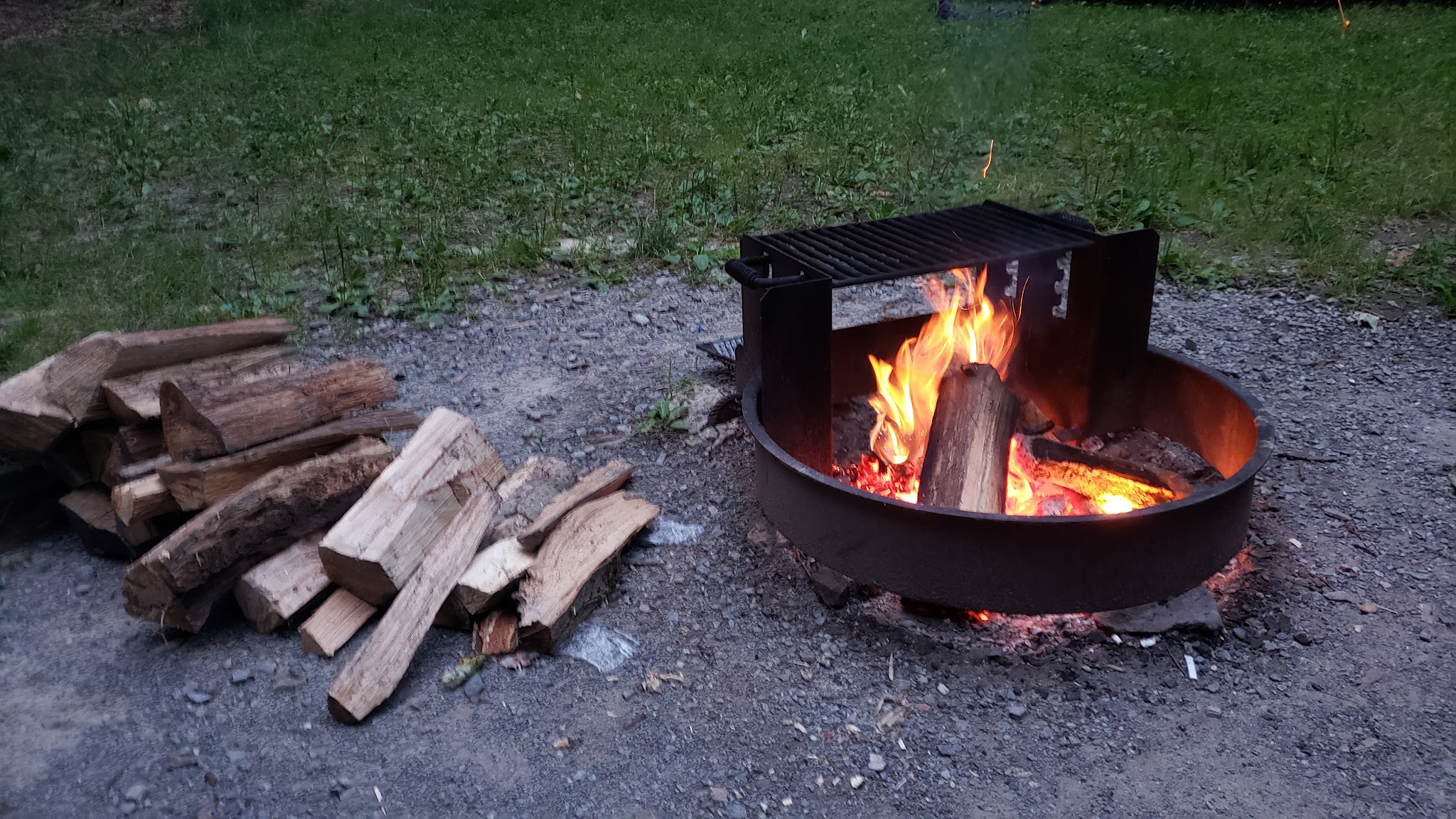 Cook Forest State Park