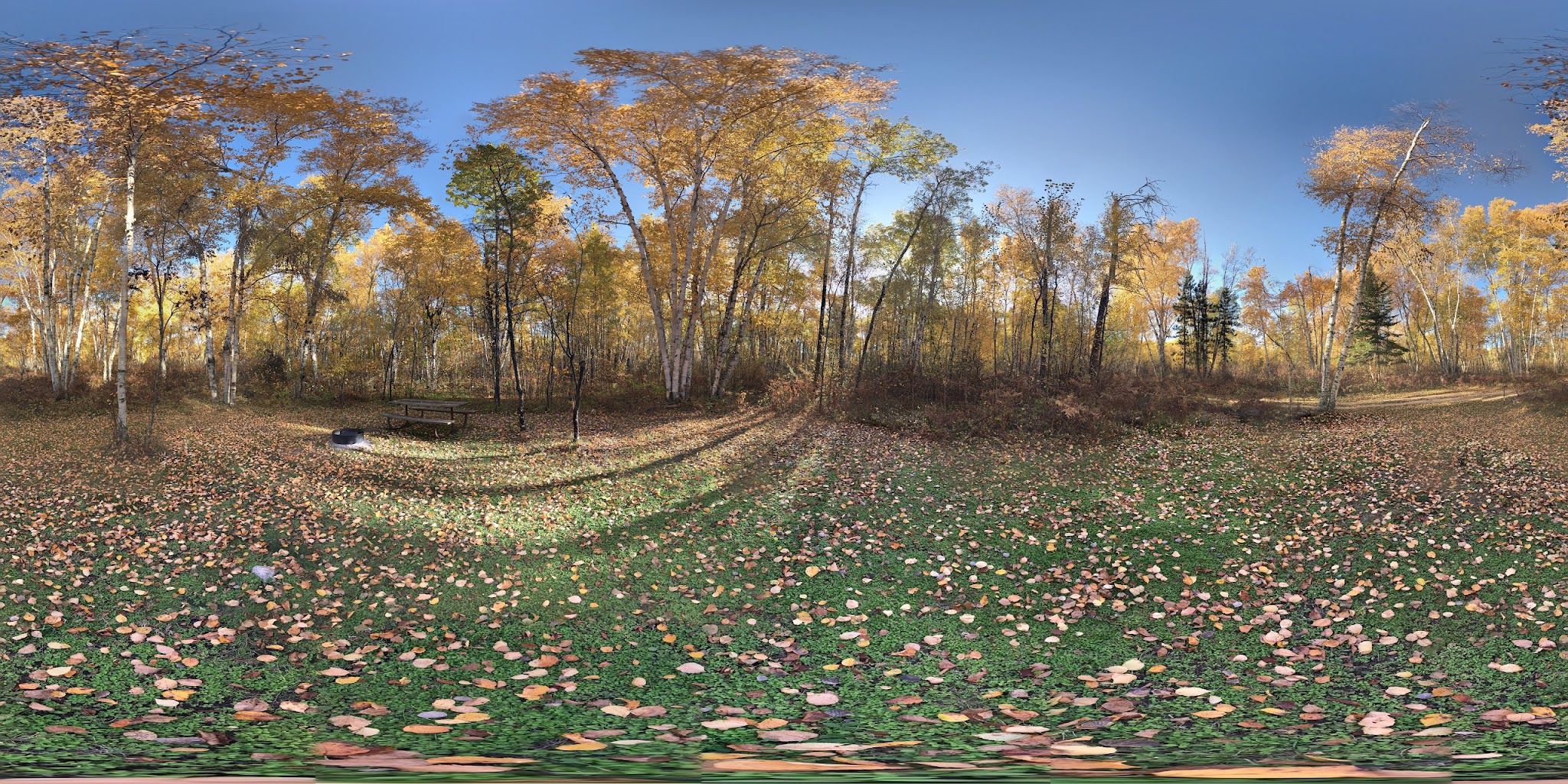 Ridge & Birch Campground