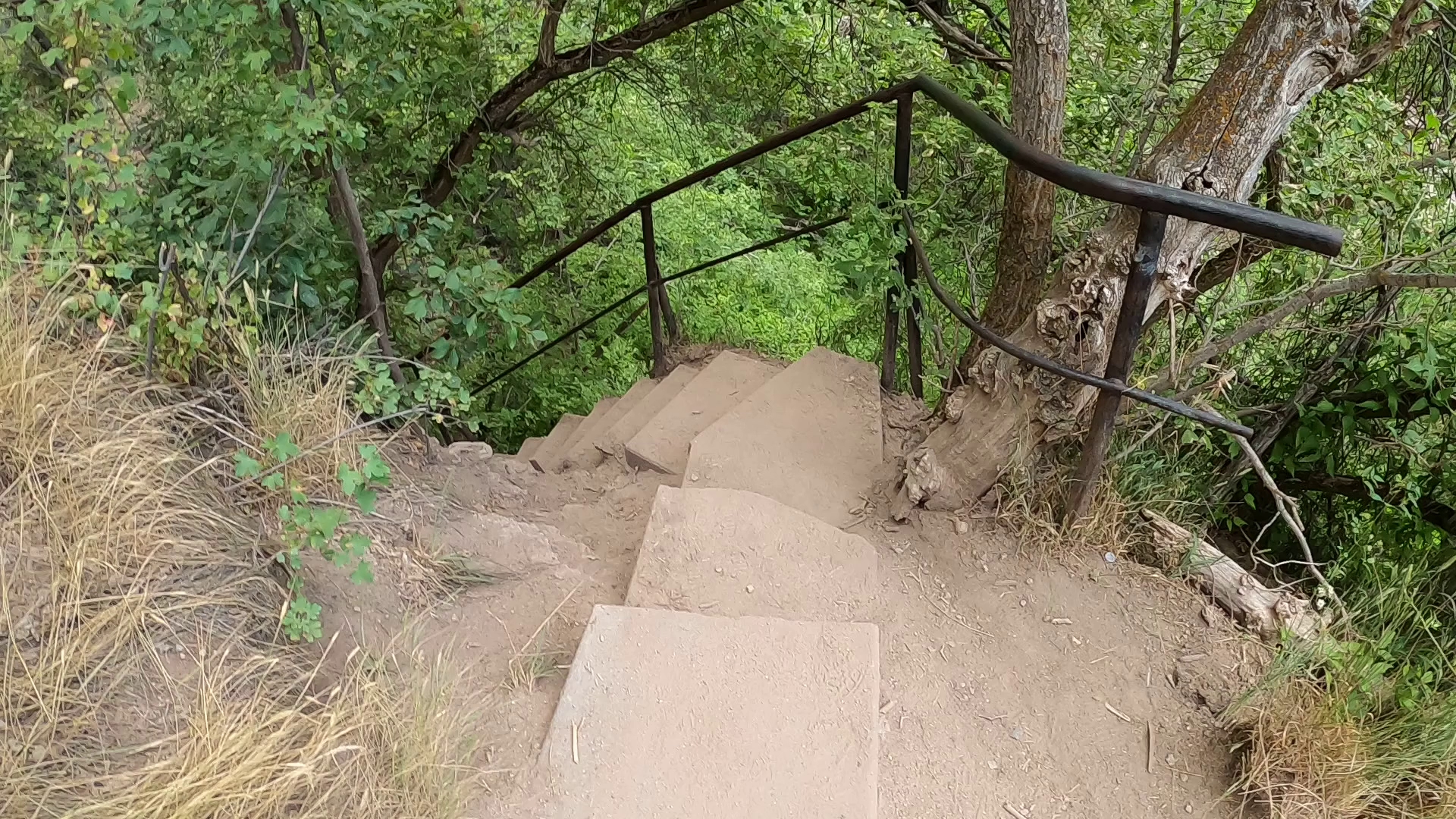 Rifle Falls State Park