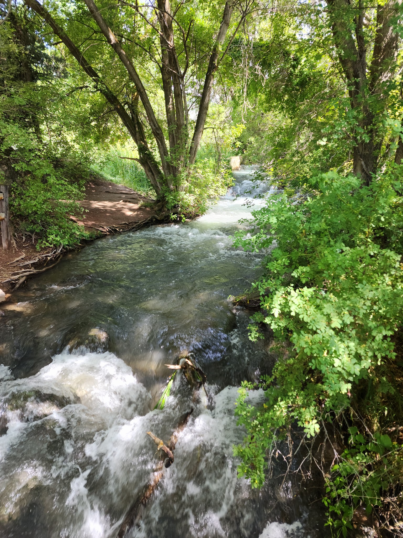 Rifle Falls State Park