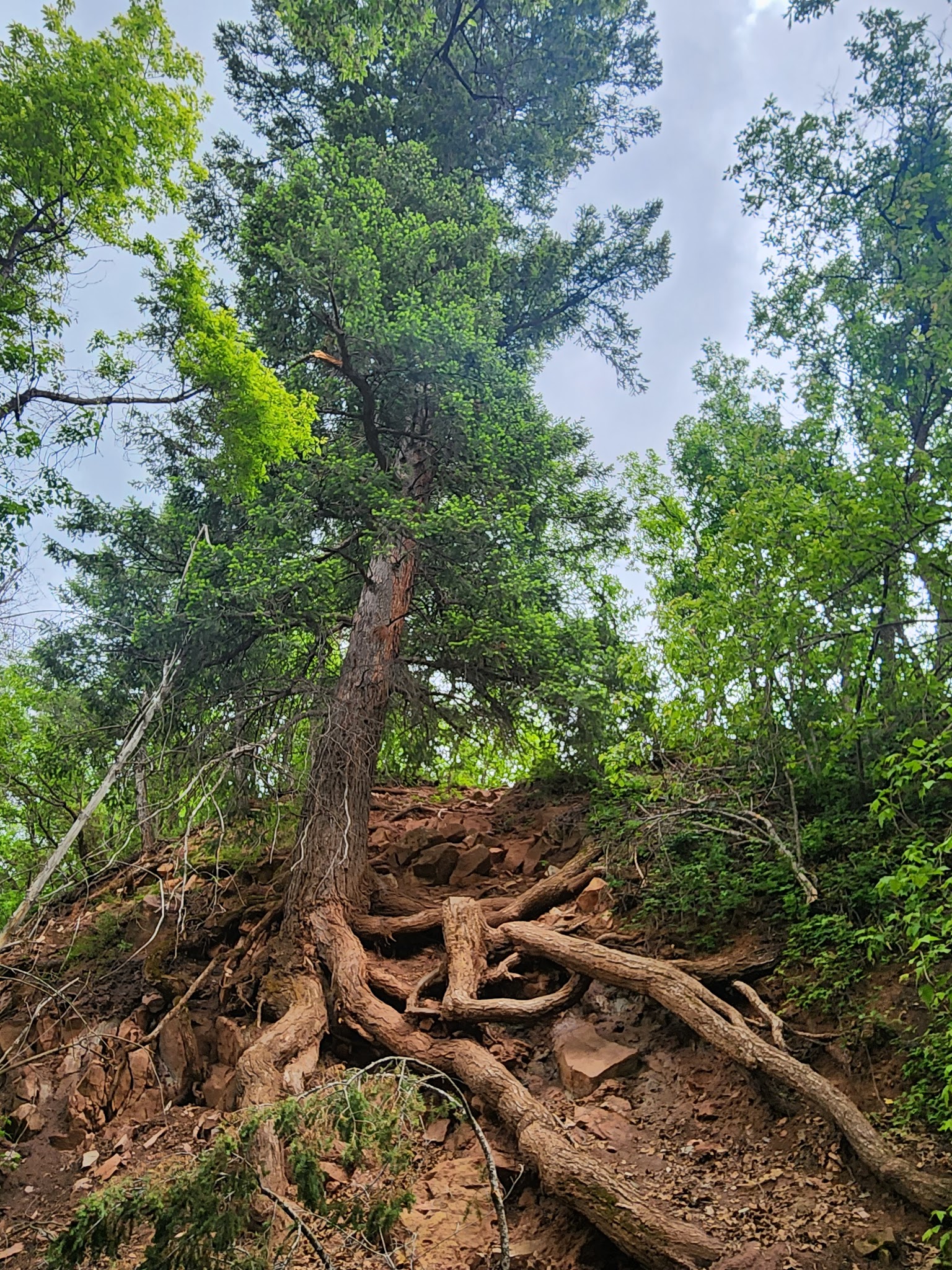 Rifle Falls State Park