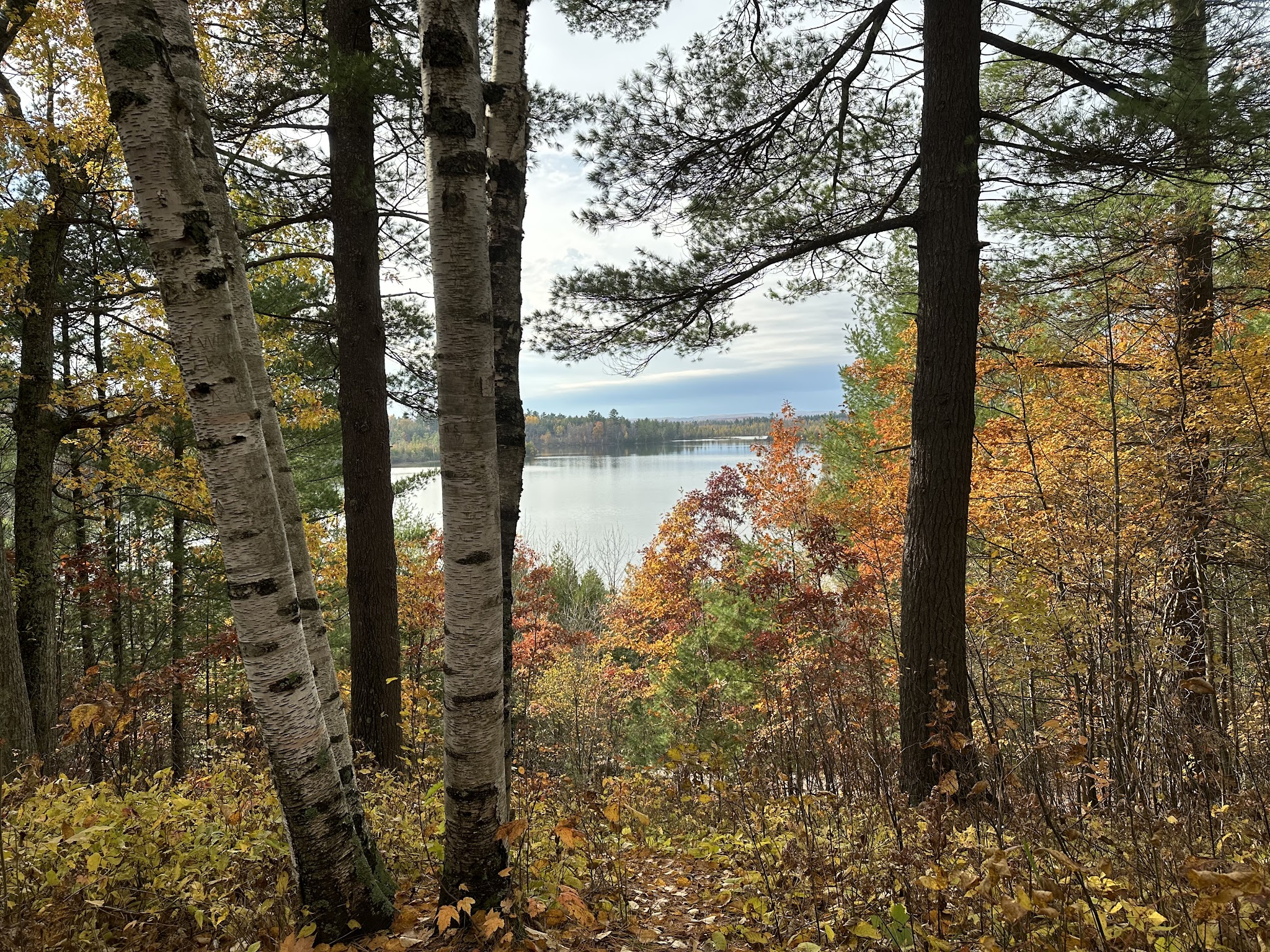 Rifle River Ranch Campground