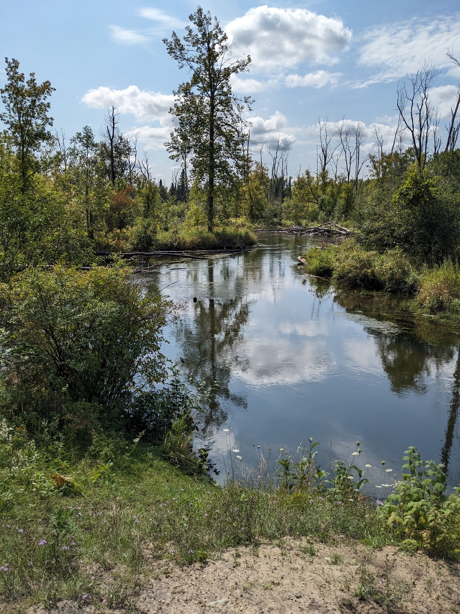 Rifle River Ranch Campground