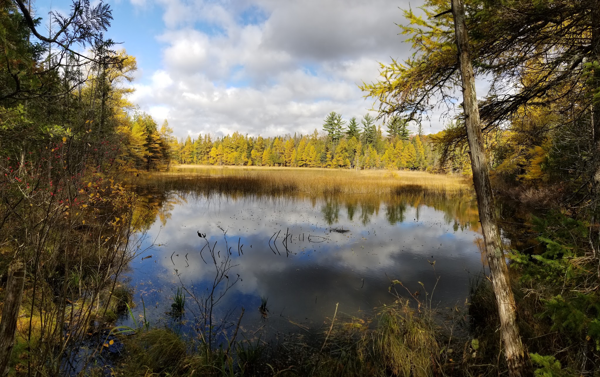 Fishing Campgrounds in Michigan