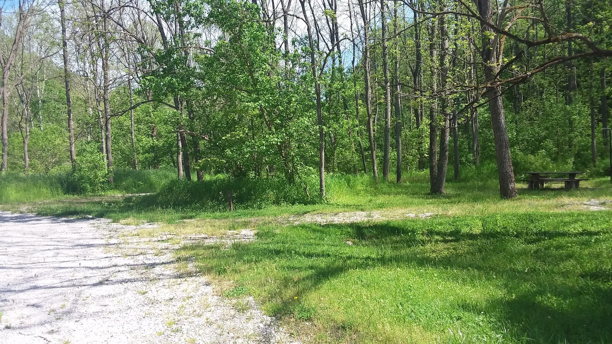 Ring Mill Campground