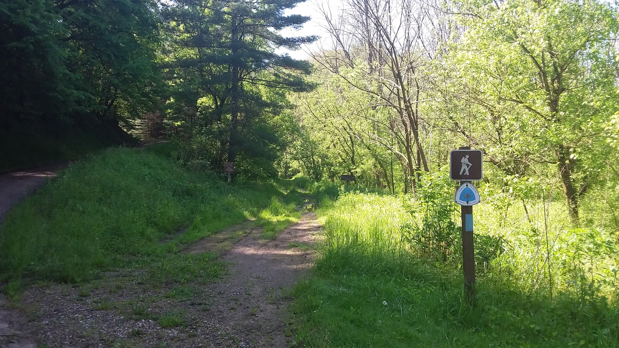 Ring Mill Campground